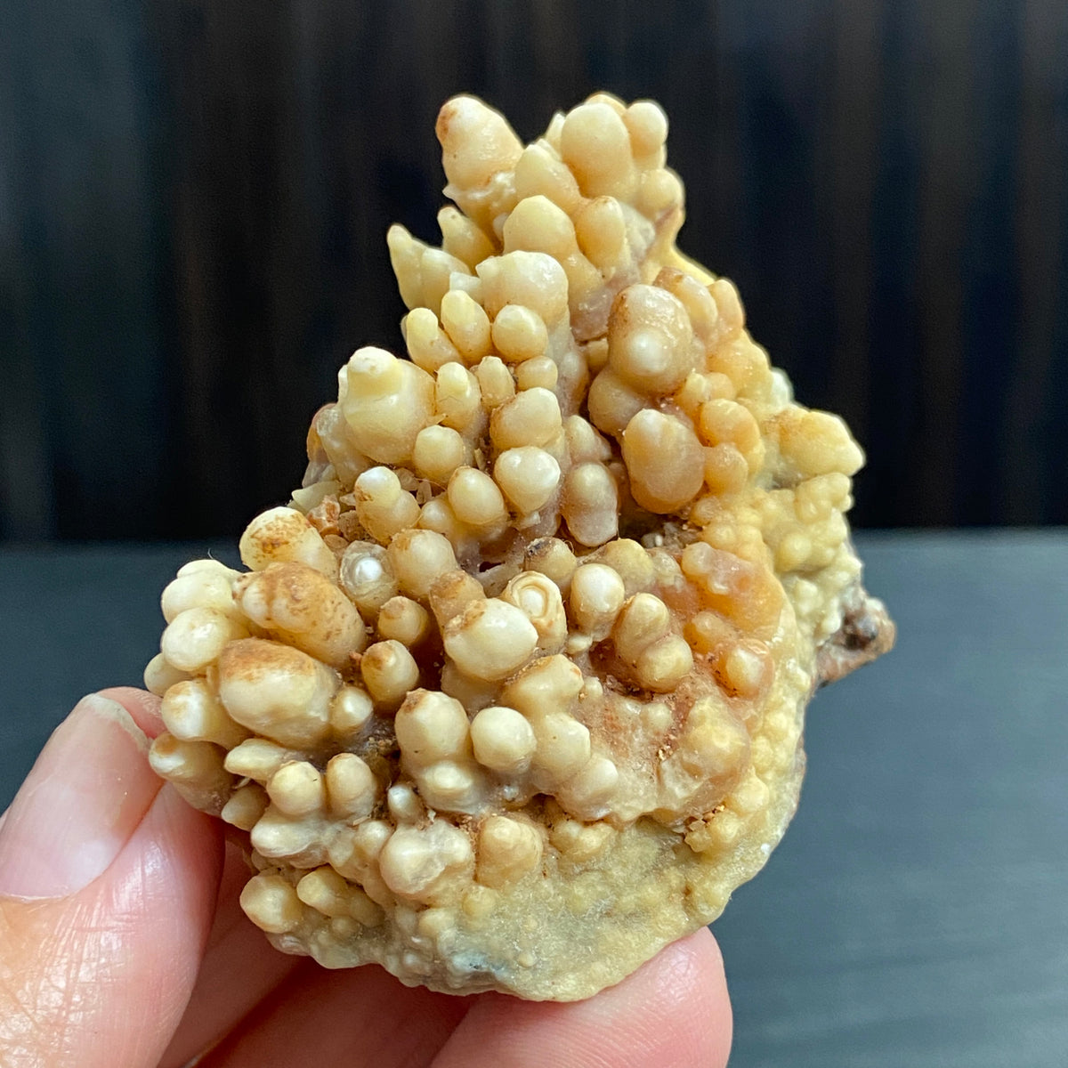 Cave Coral Aragonite – Morocco