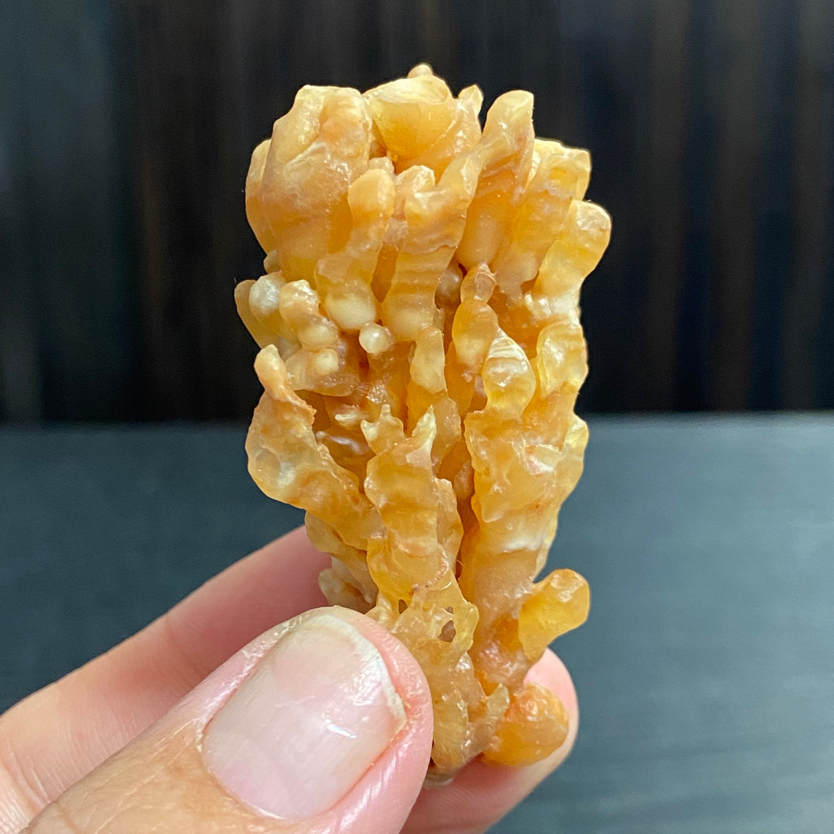 Cave Coral Aragonite – Morocco