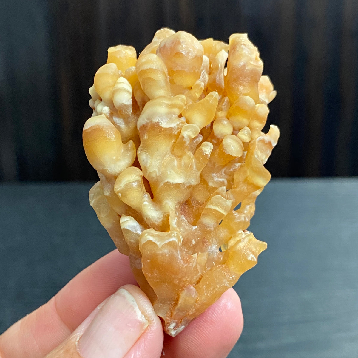 Cave Coral Aragonite – Morocco