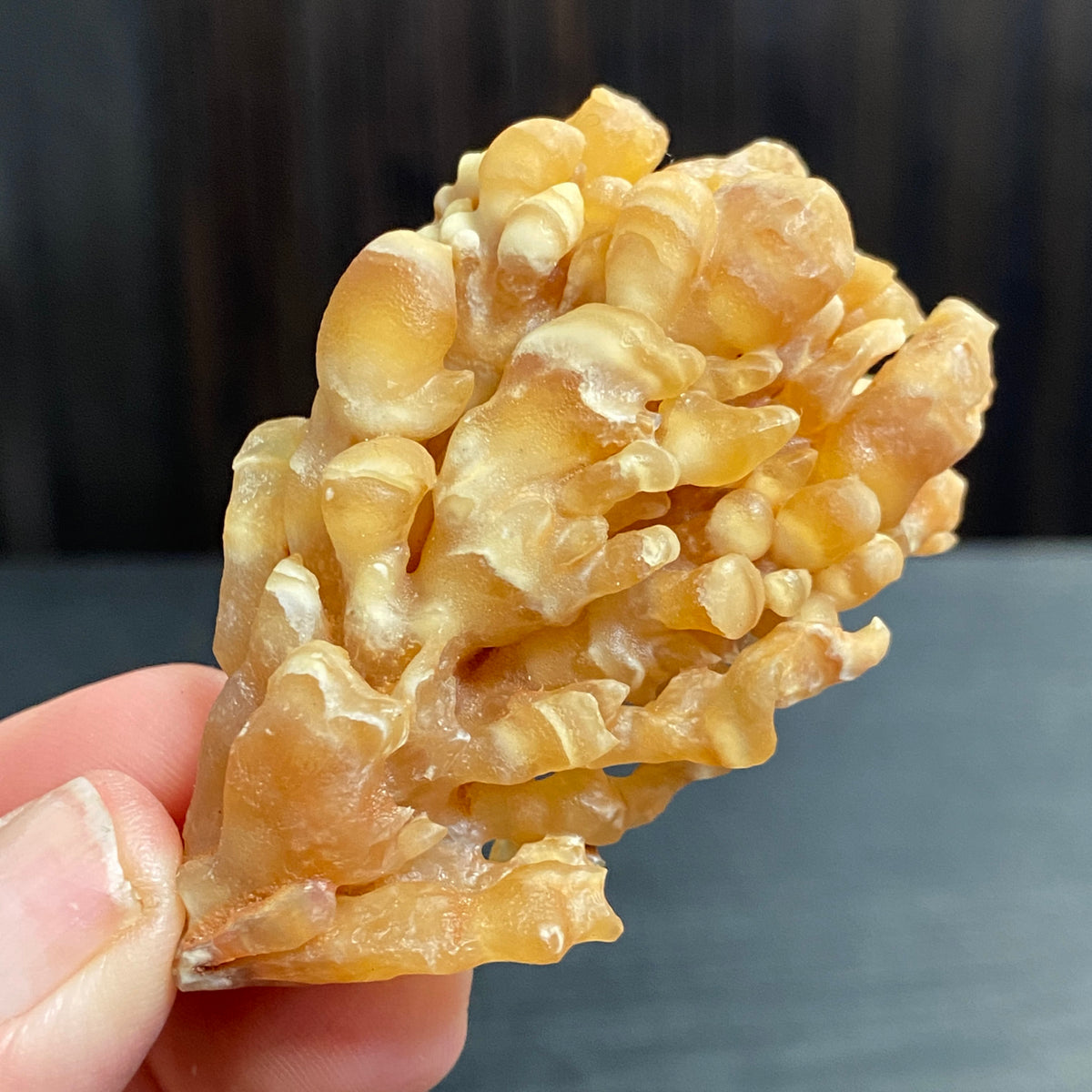 Cave Coral Aragonite – Morocco