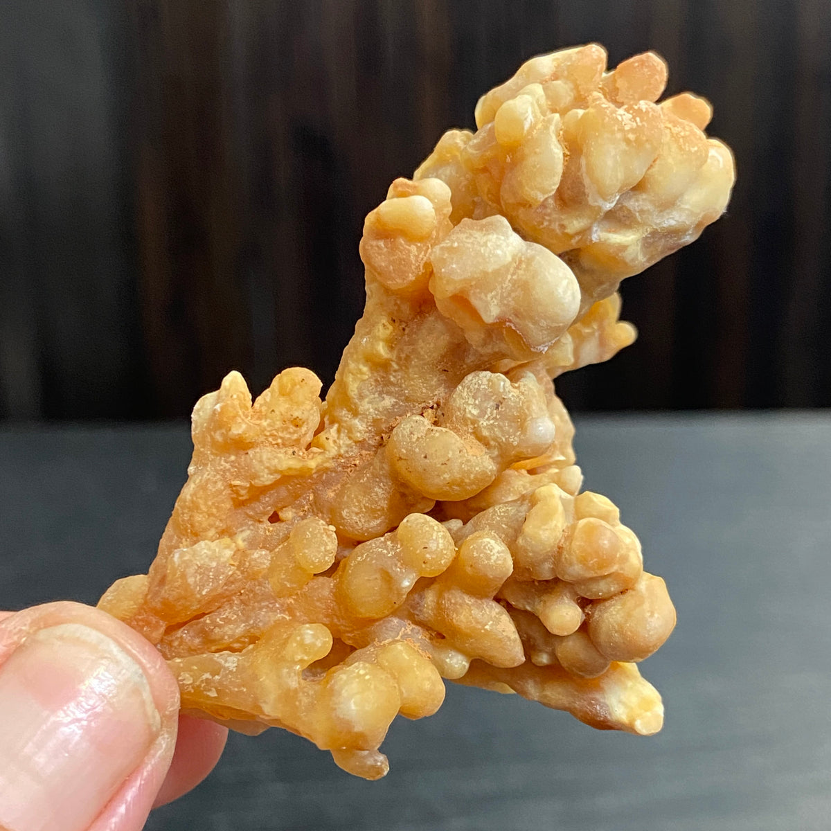 Cave Coral Aragonite – Morocco