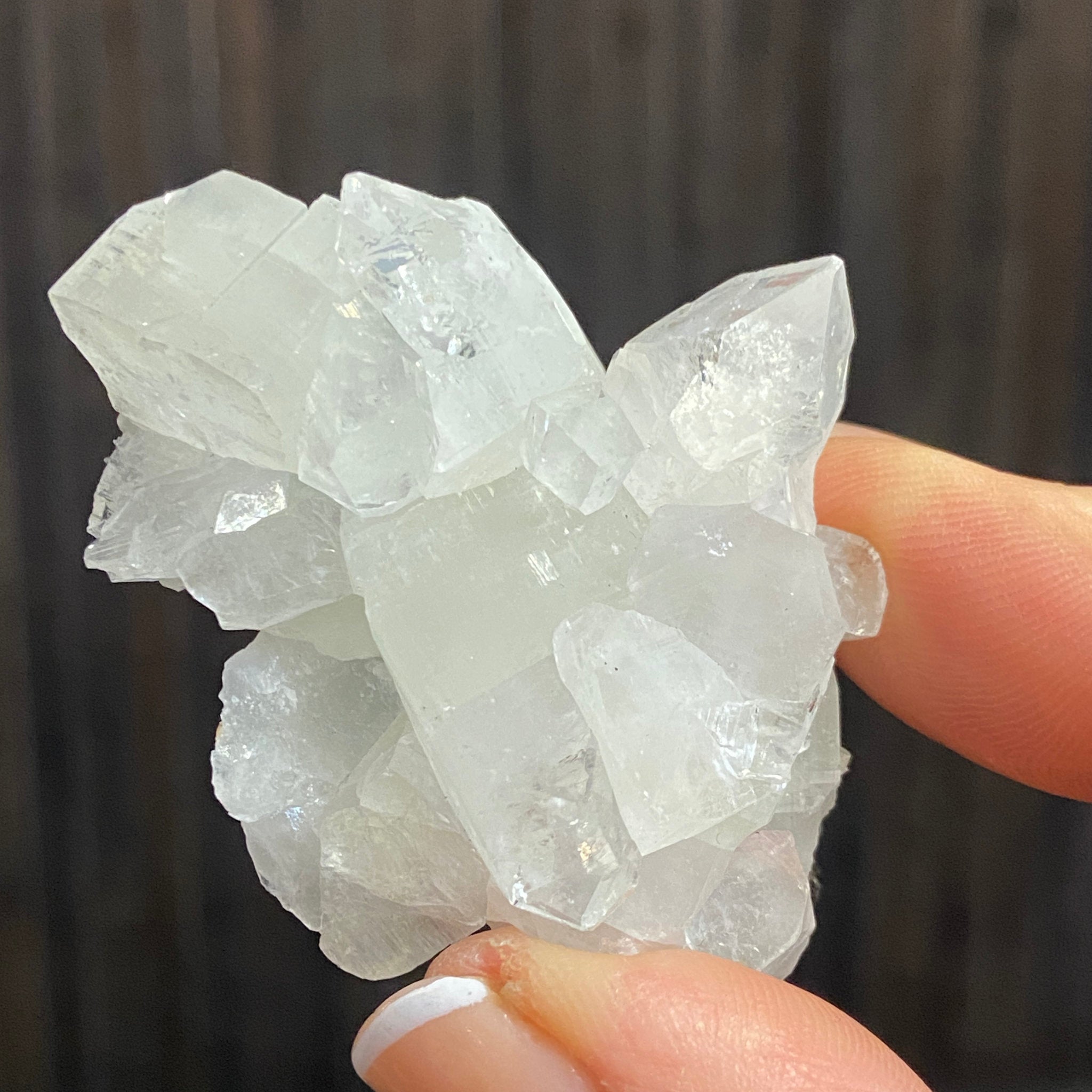 Apophyllite Cluster - India