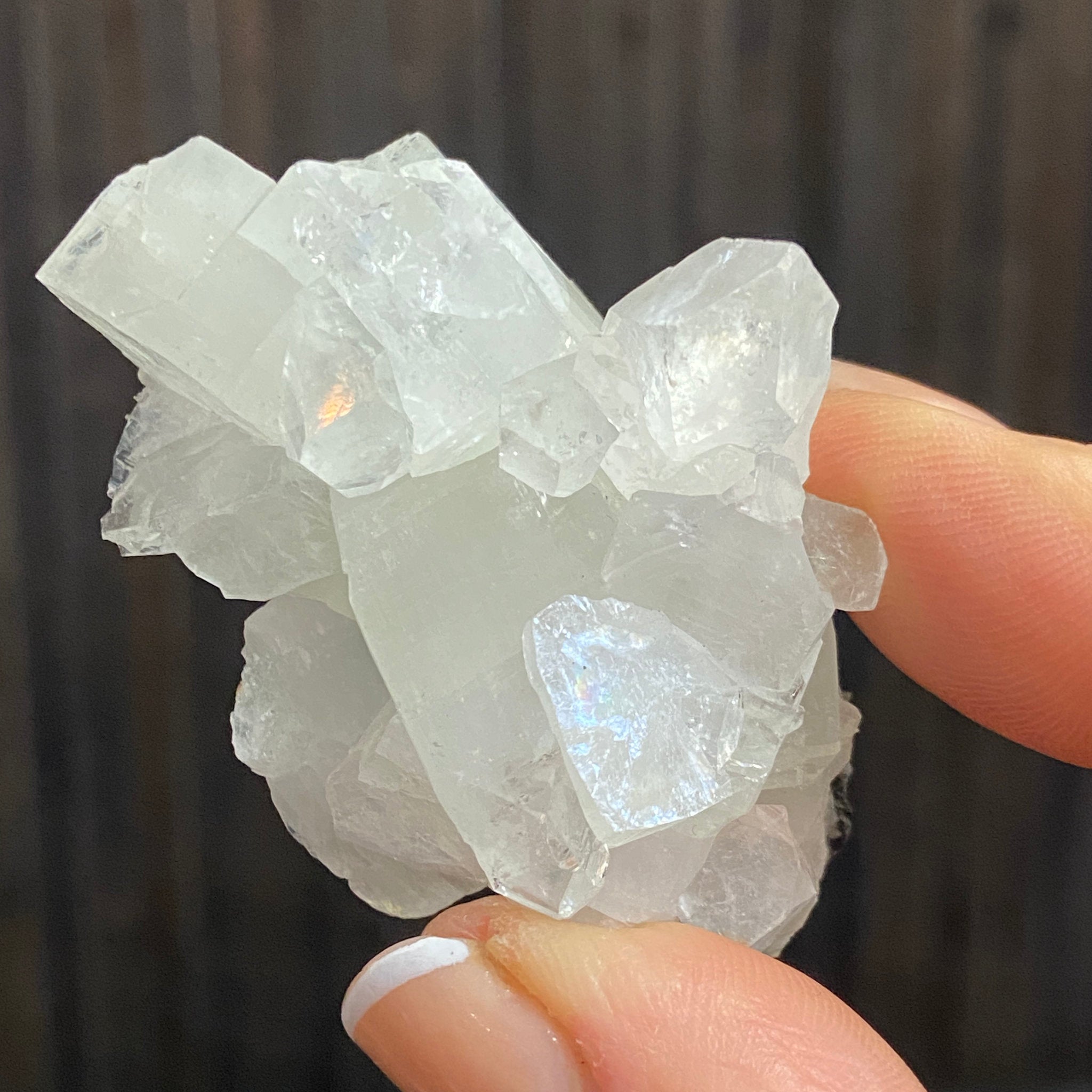Apophyllite Cluster - India