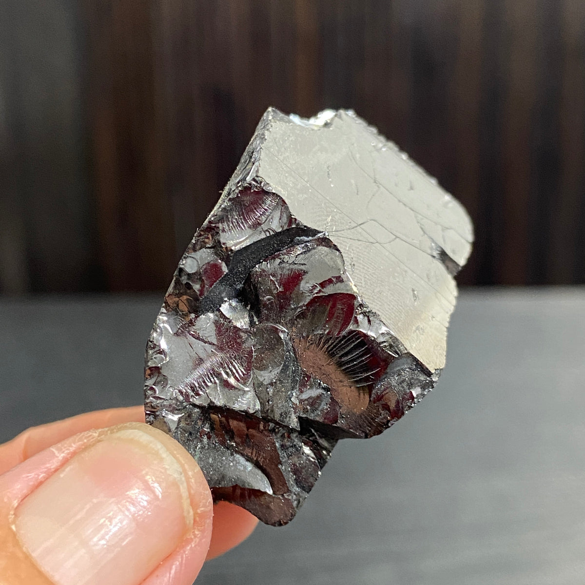 Elite Shungite Natural Chunk – Russia