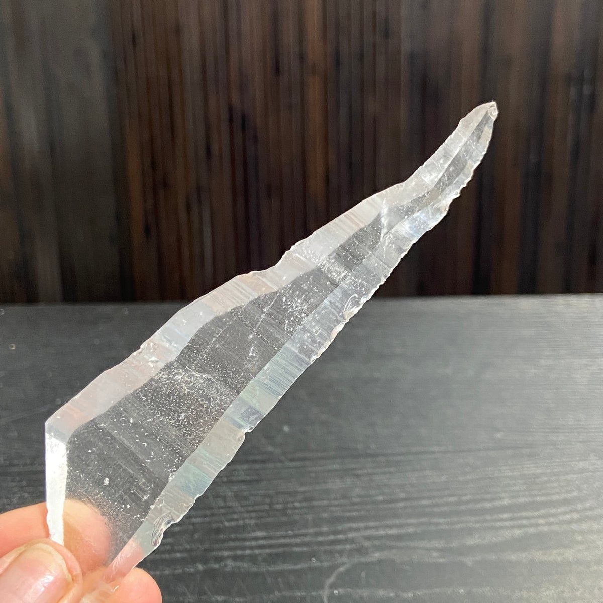 Lemurian Seed Tabby Laser - Brazil