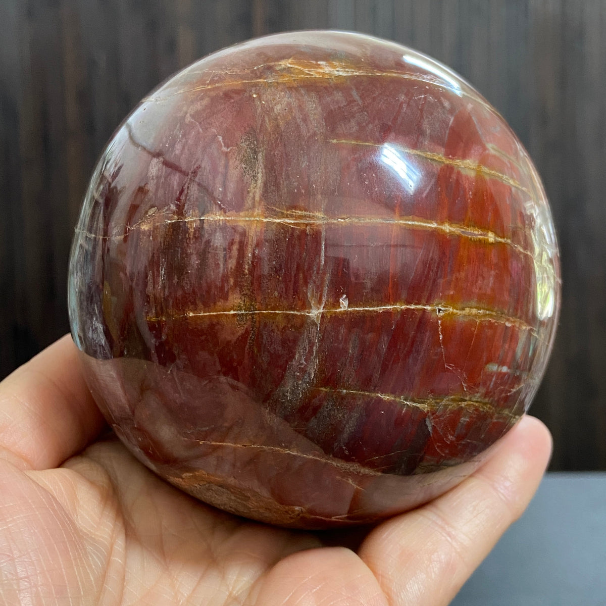 Arizona Redwood Petrified Wood Sphere – USA