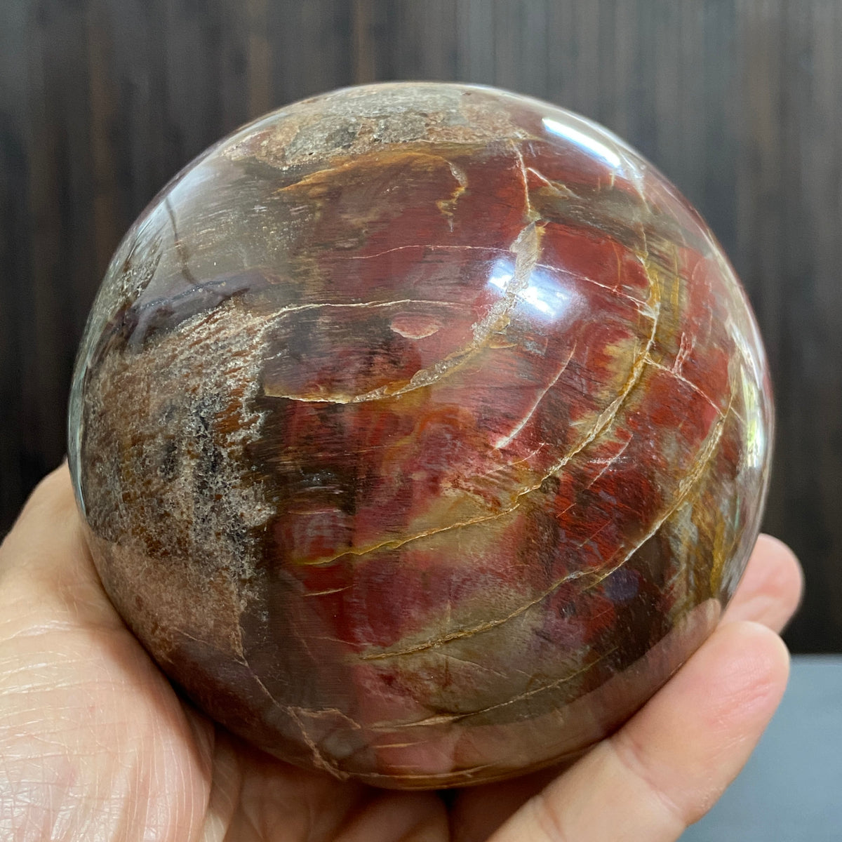 Arizona Redwood Petrified Wood Sphere – USA