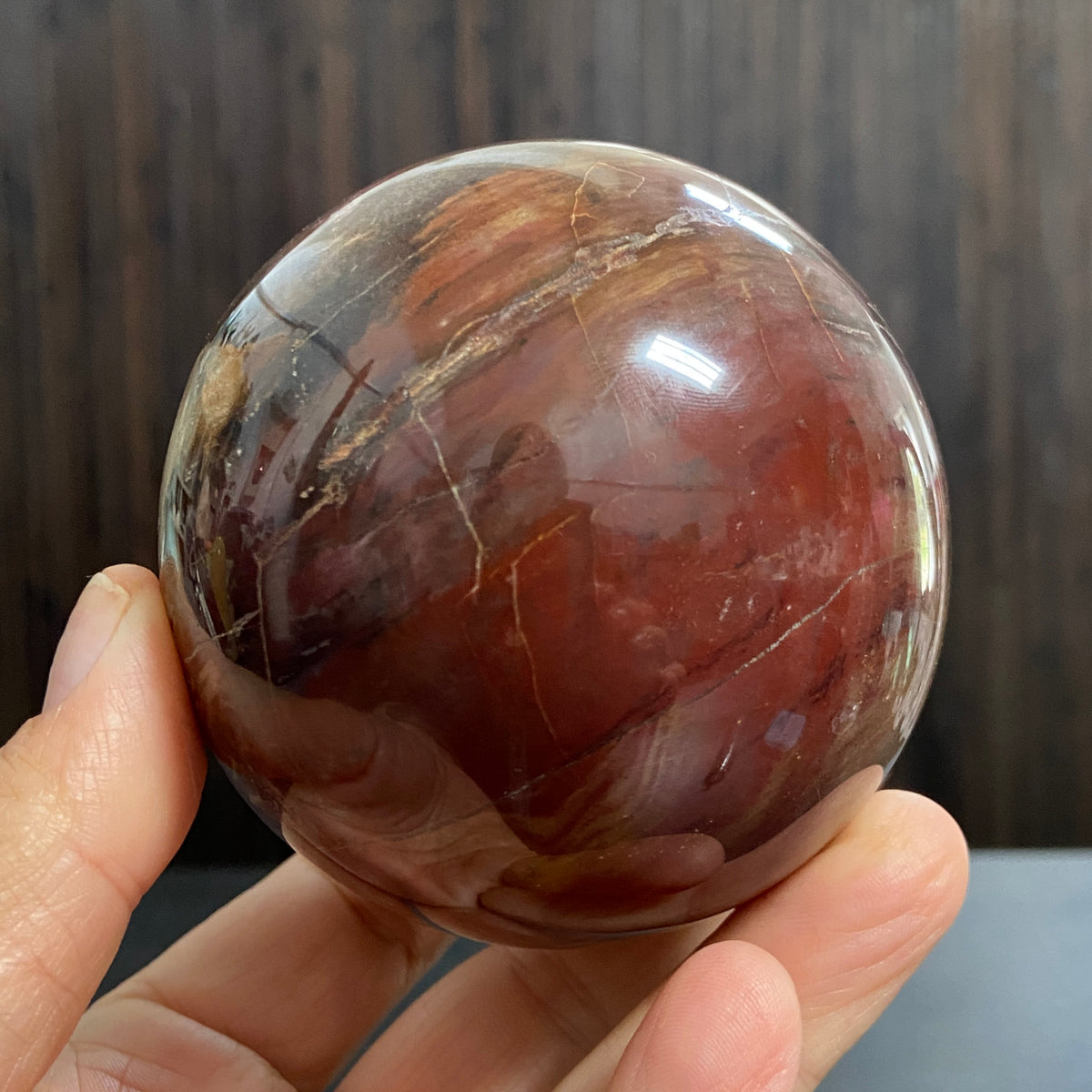 Redwood Petrified Wood Sphere – Madagascar
