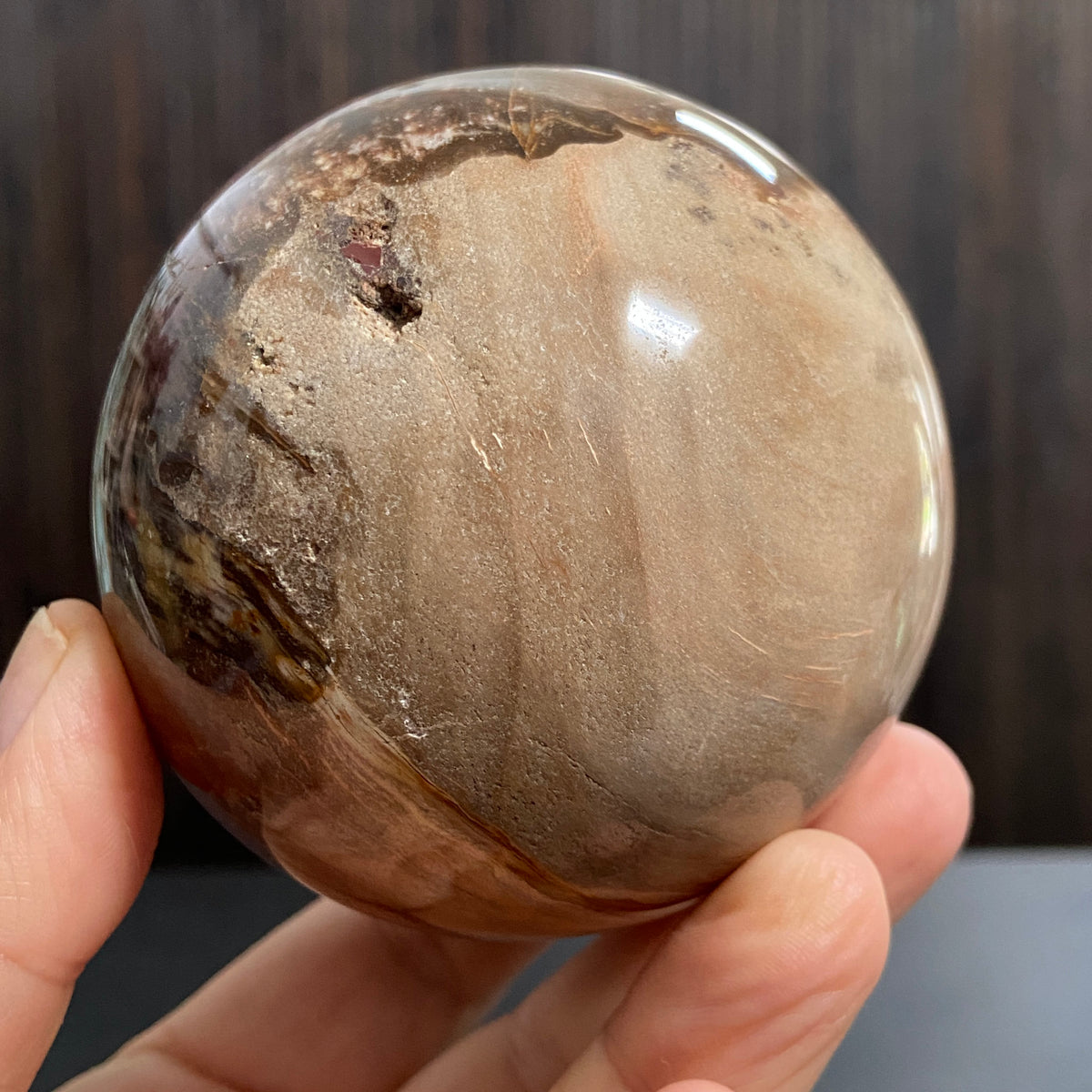 Redwood Petrified Wood Sphere – Madagascar