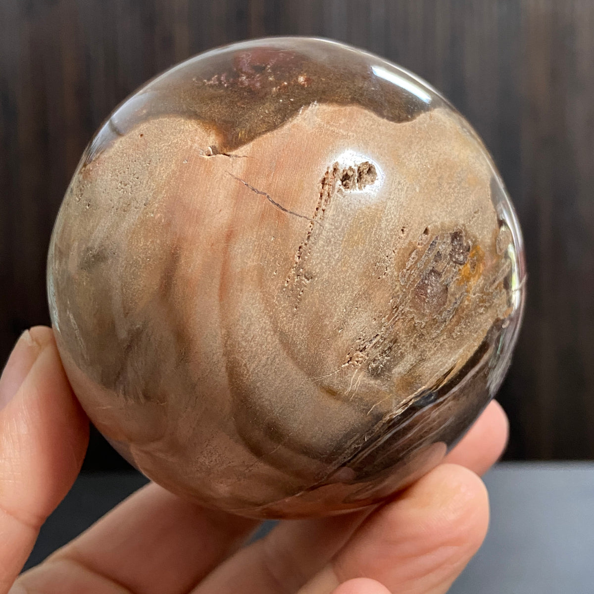 Redwood Petrified Wood Sphere – Madagascar