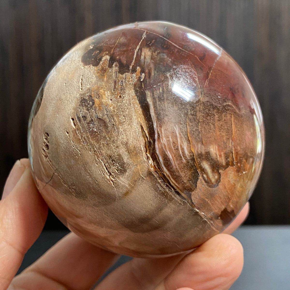 Redwood Petrified Wood Sphere – Madagascar