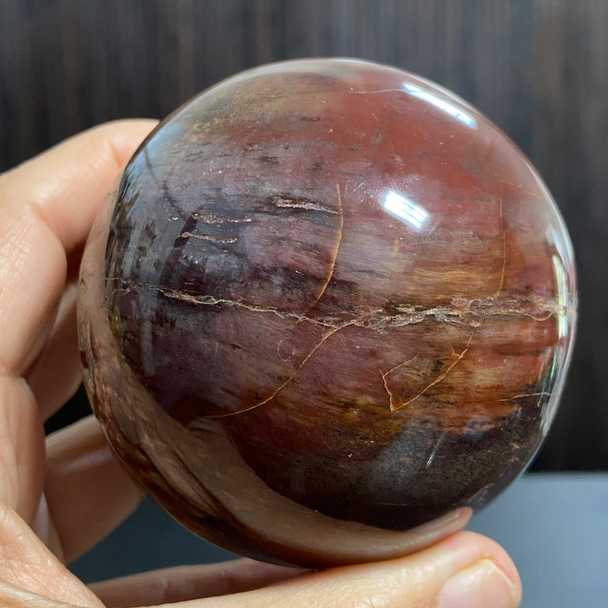 Redwood Petrified Wood Sphere – Madagascar