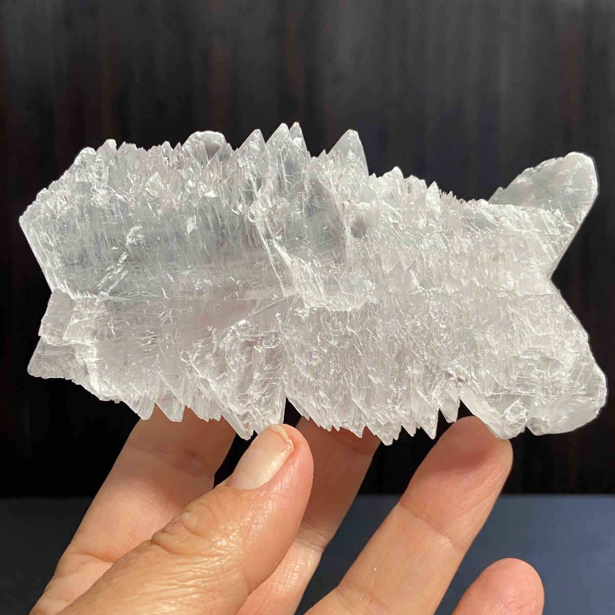 Fishtail Selenite – Mexico