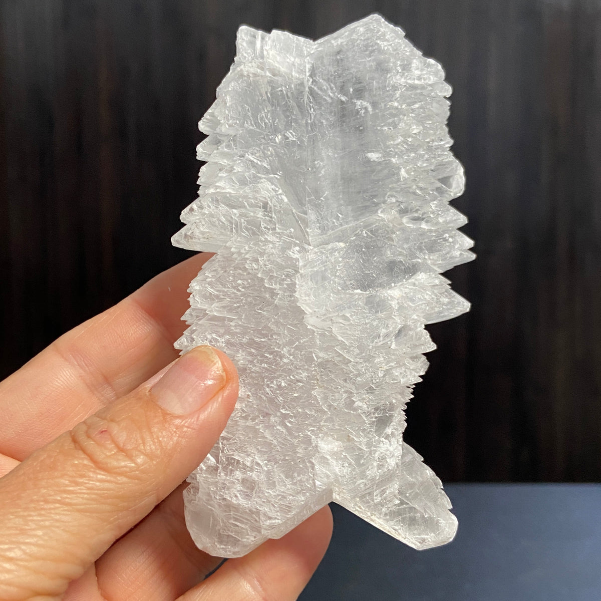 Fishtail Selenite – Mexico
