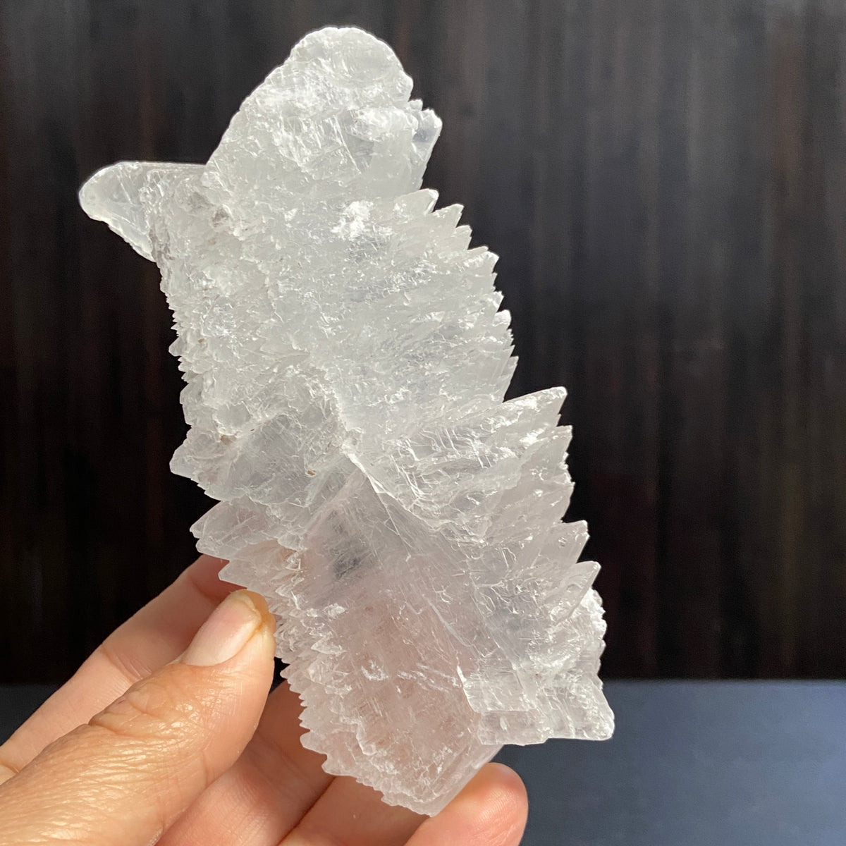 Fishtail Selenite – Mexico