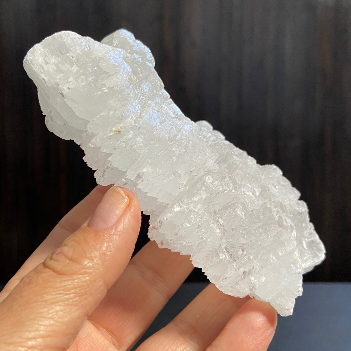Fishtail Selenite – Mexico