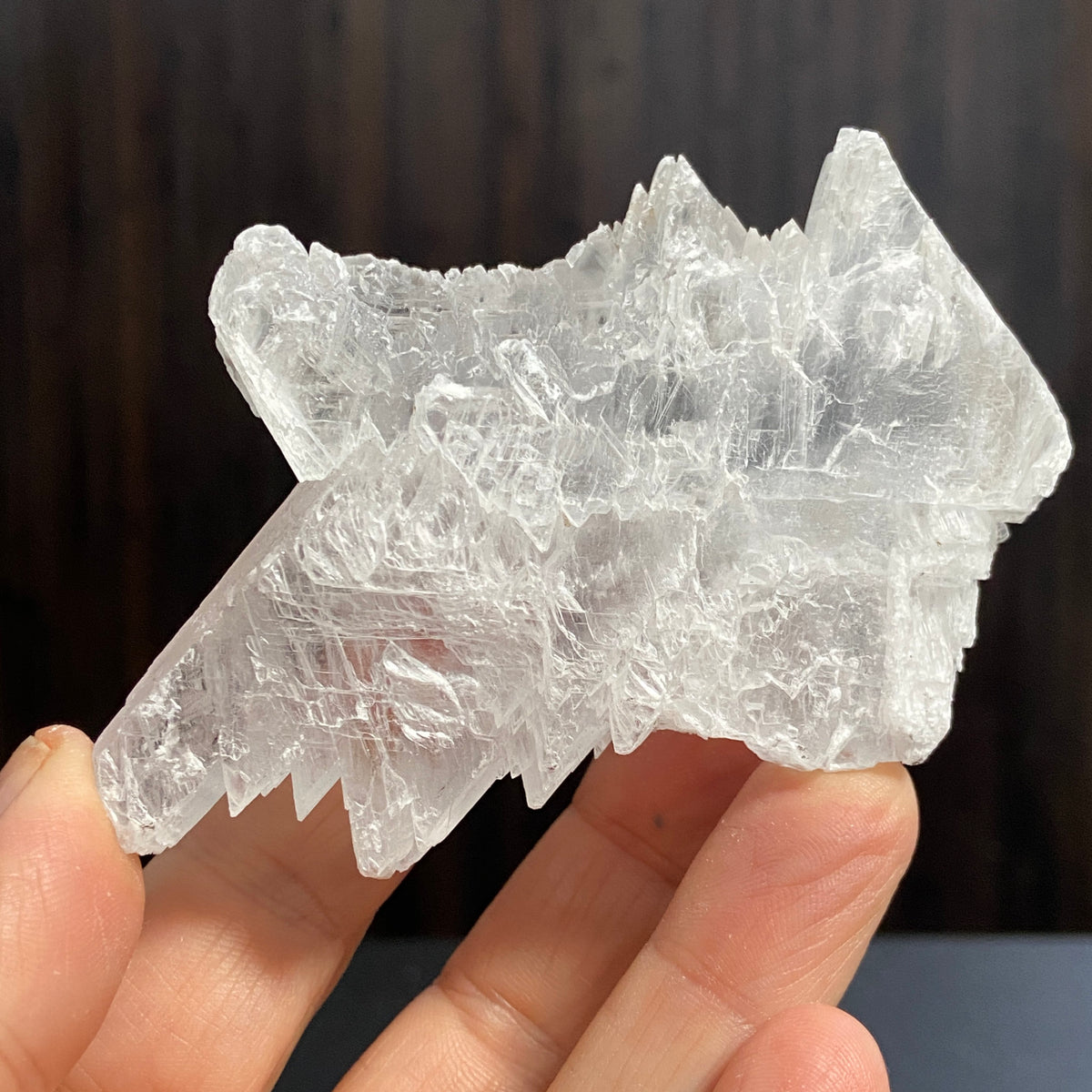Fishtail Selenite – Mexico