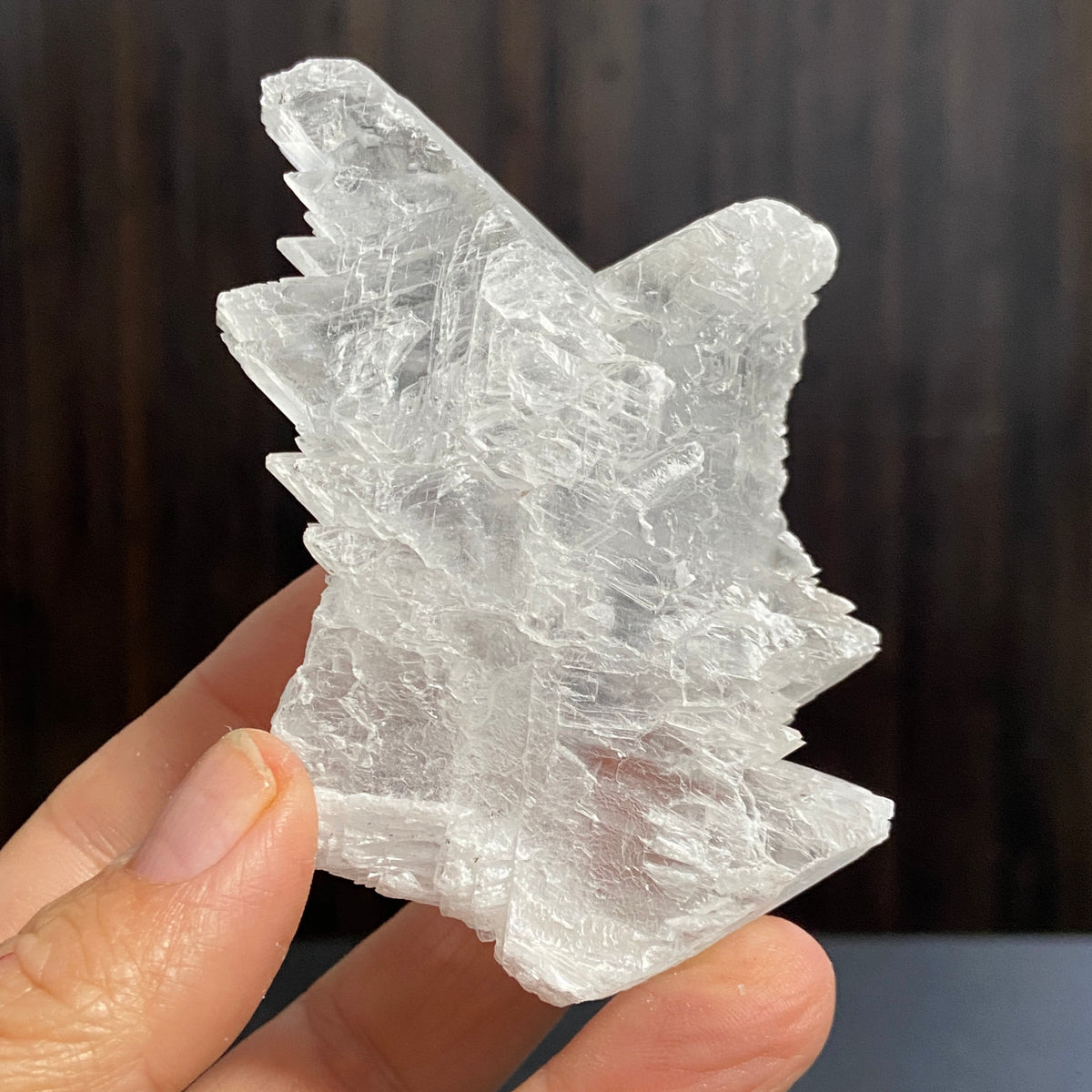 Fishtail Selenite – Mexico