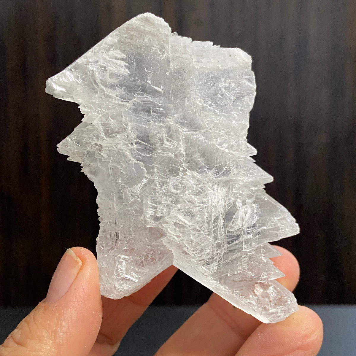 Fishtail Selenite – Mexico