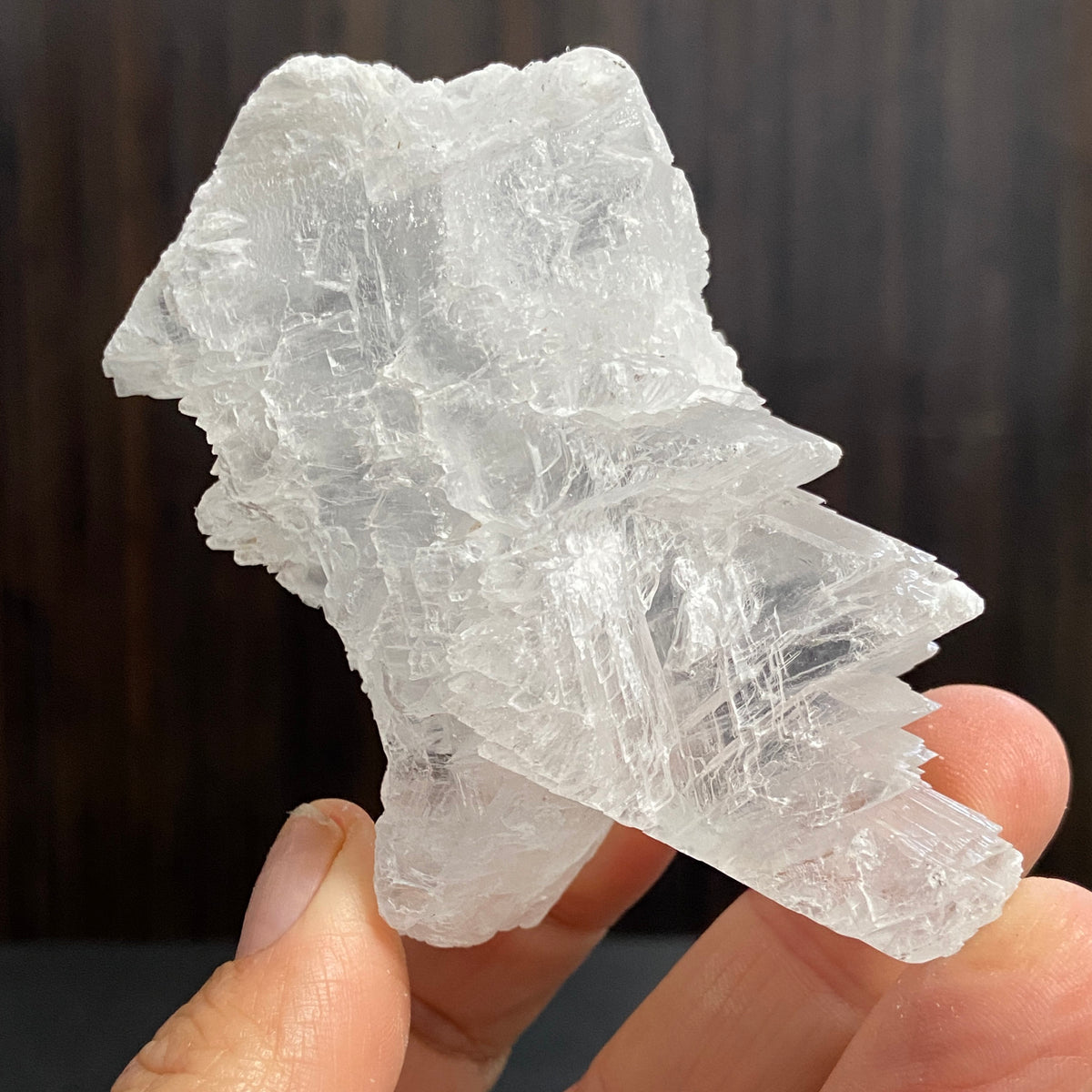 Fishtail Selenite – Mexico