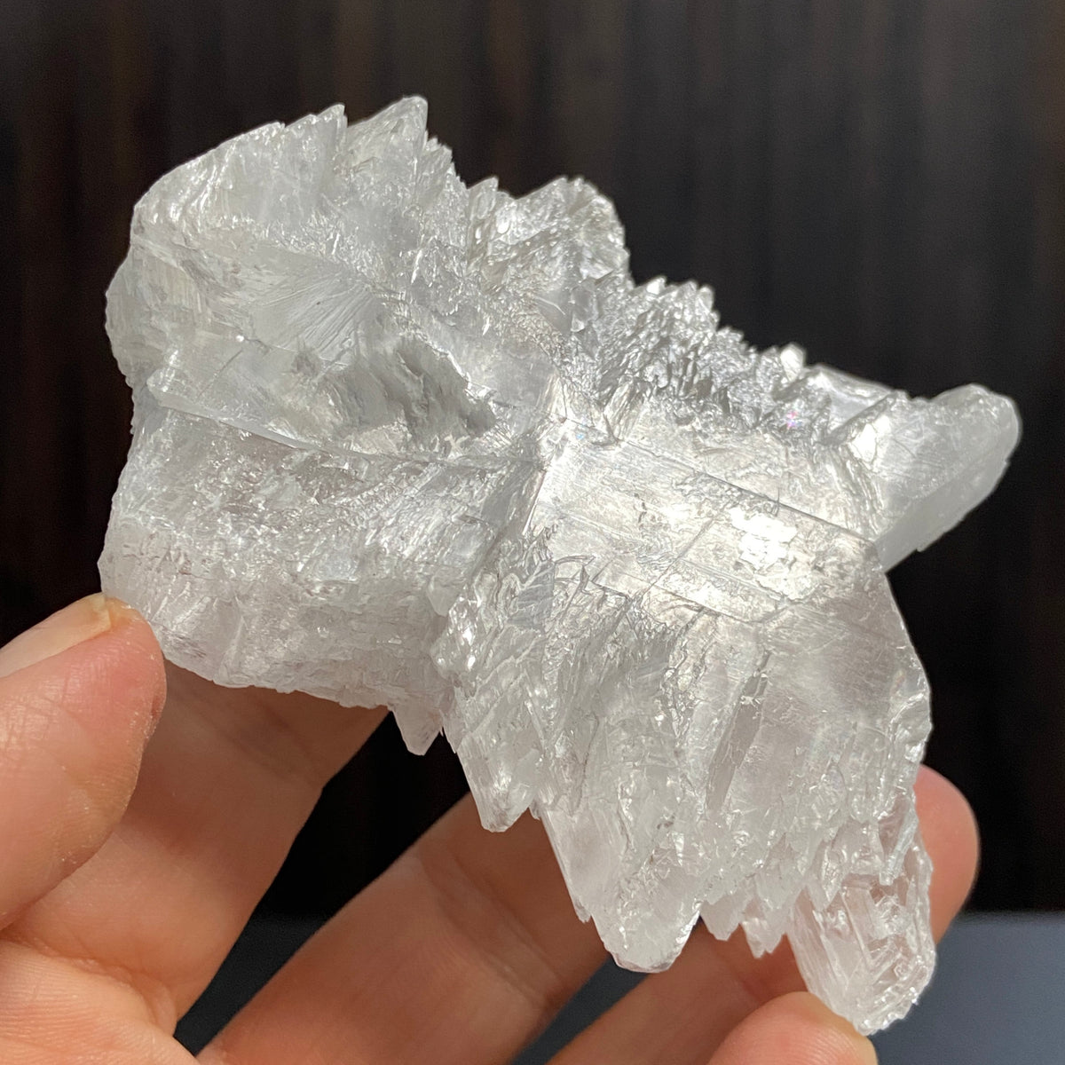 Fishtail Selenite – Mexico