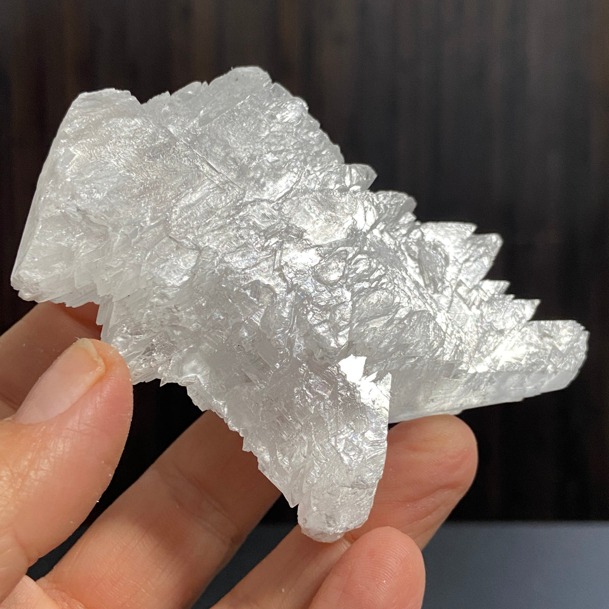 Fishtail Selenite – Mexico