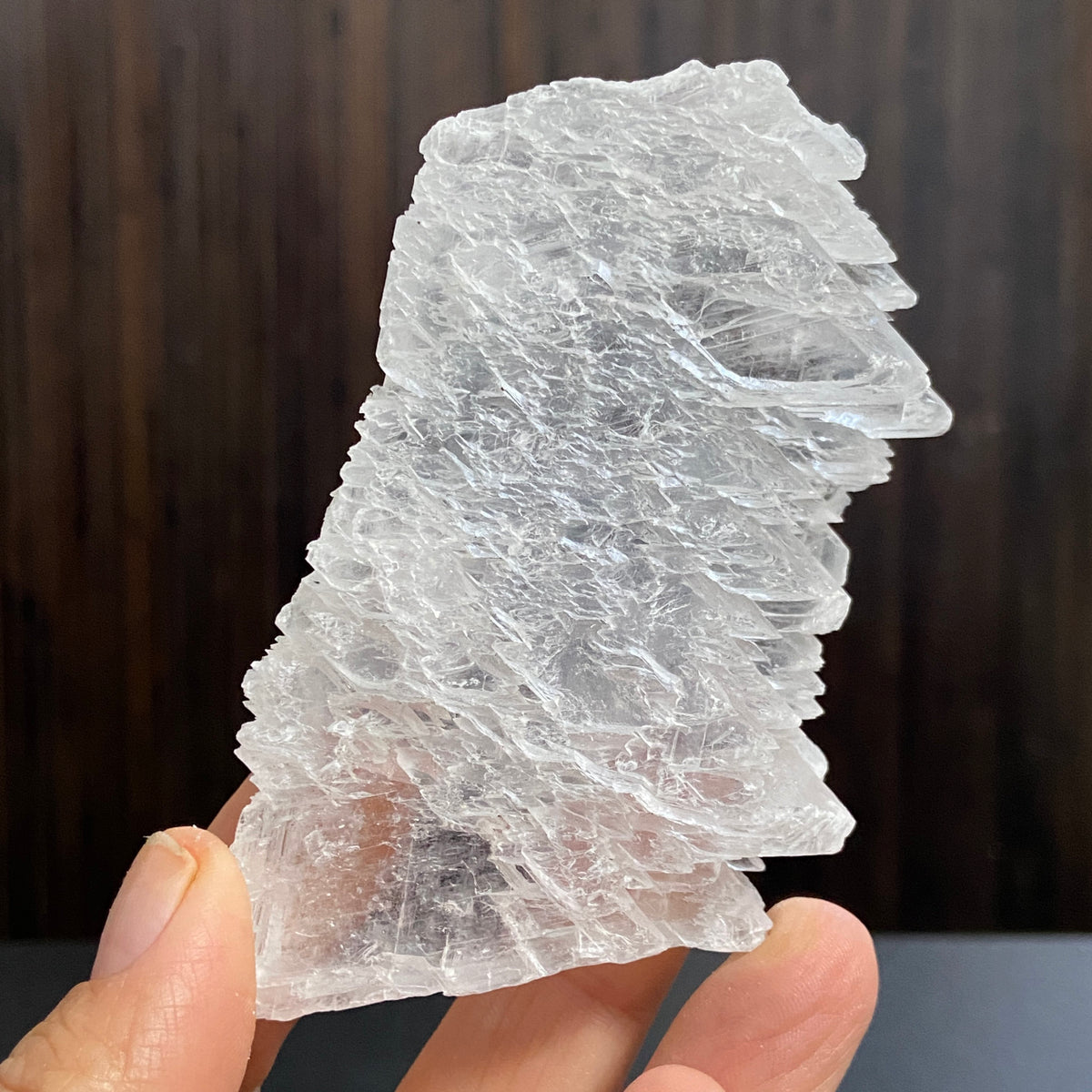 Fishtail Selenite – Mexico