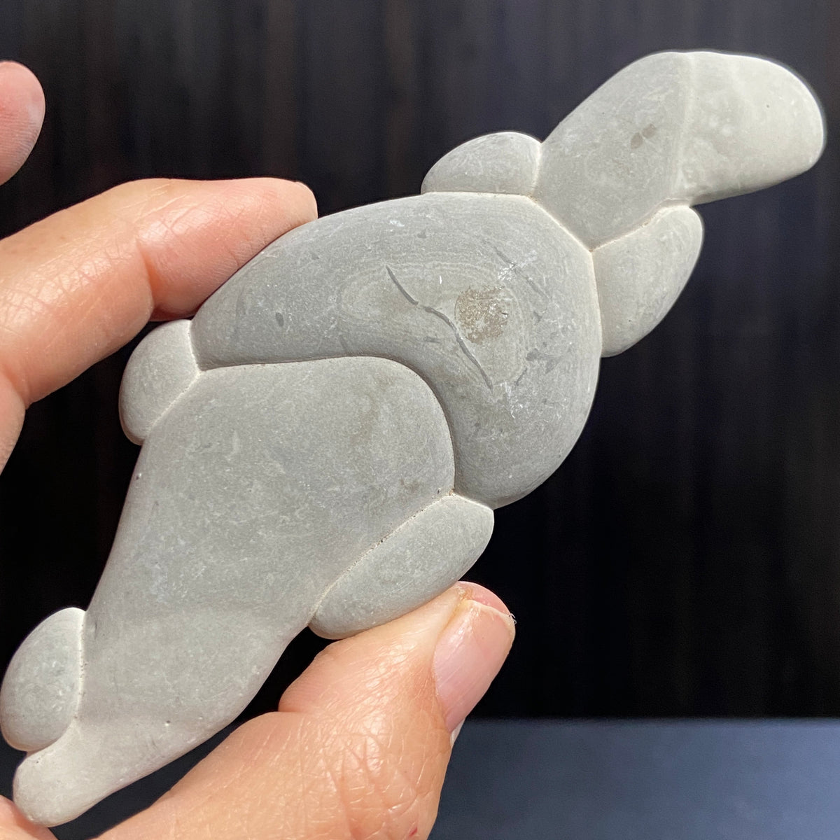 Canadian Fairy Stone – Abitibi, Quebec