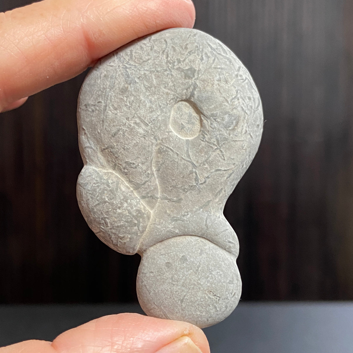 Canadian Fairy Stone – Abitibi, Quebec