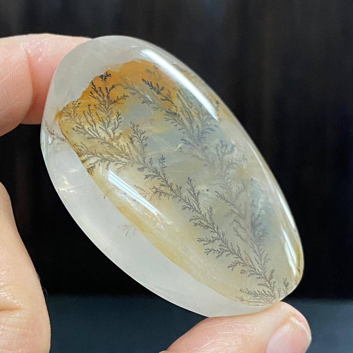 Golden Healer Dendritic Quartz Display Piece