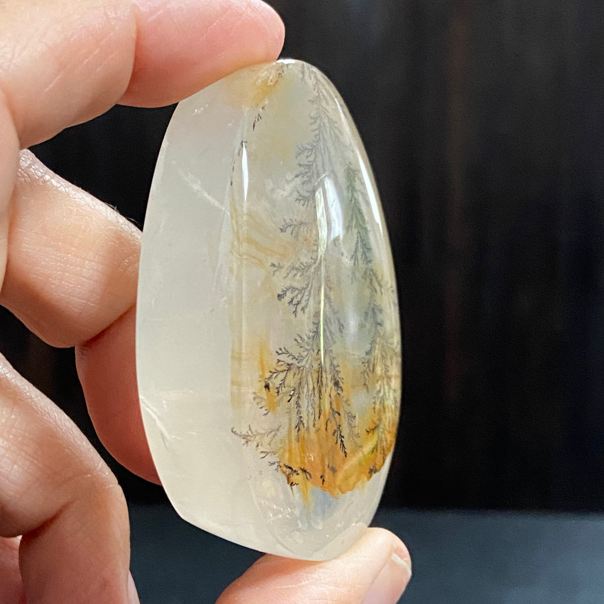 Golden Healer Dendritic Quartz Display Piece