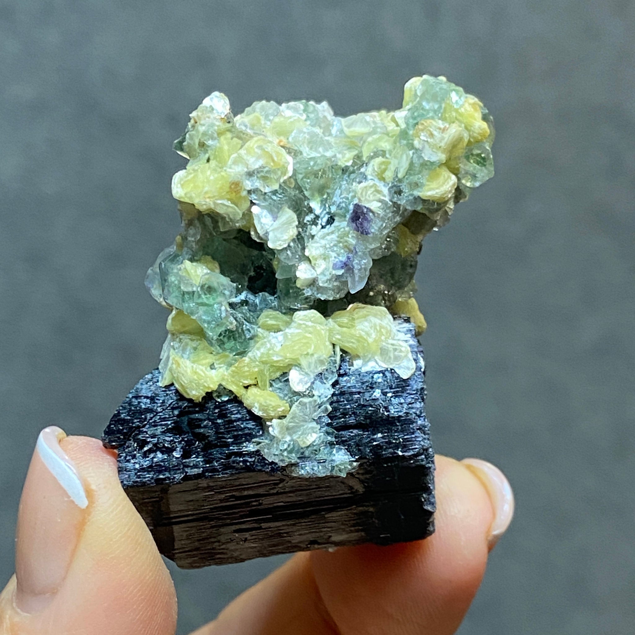 Fluorite with Black Tourmaline, Muscovite and Feldspar - Erongo - Castle Rocks Cornwall