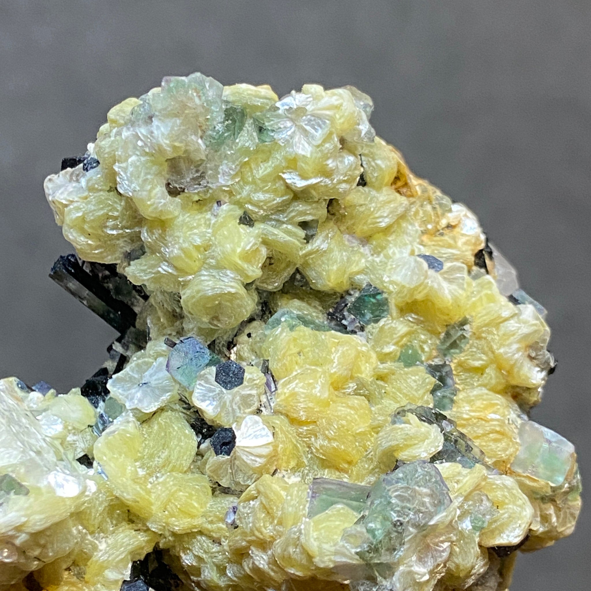 Fluorite with Black Tourmaline, Muscovite and Feldspar - Erongo - Castle Rocks Cornwall