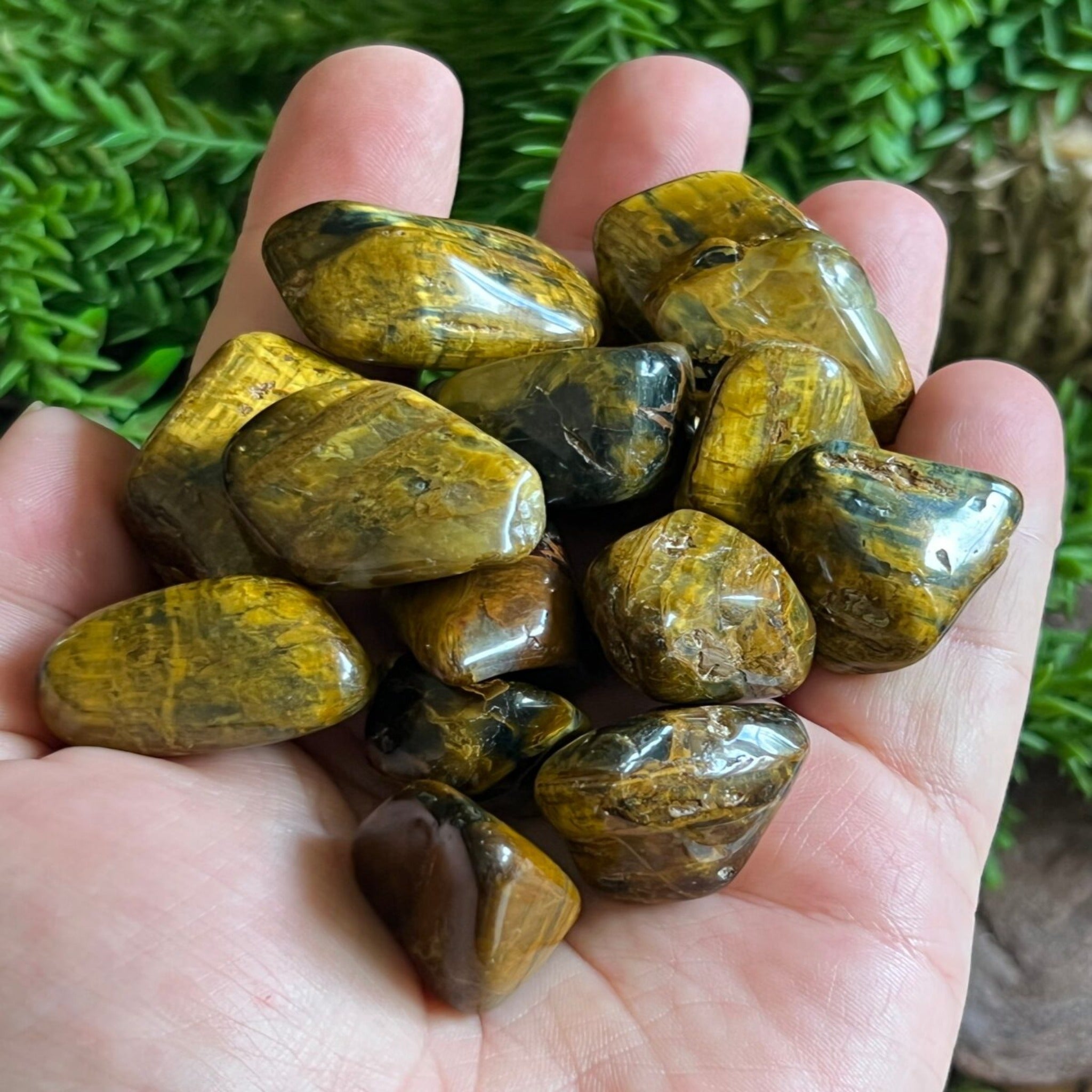 Gold Pietersite tumbled stones