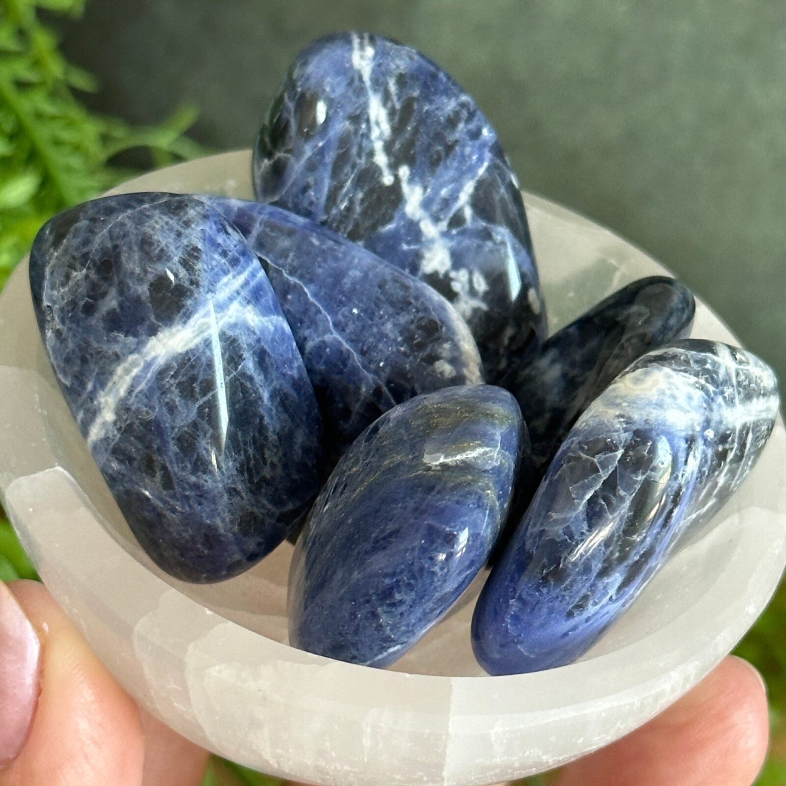 Extra large Sodalite Tumbled Stones