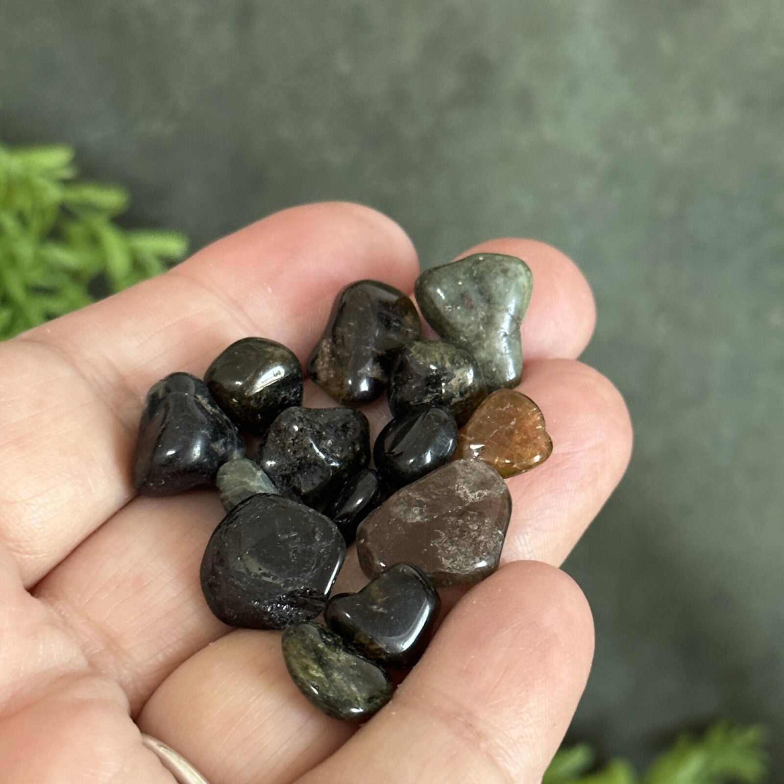 20g Mixed Tourmaline tumbled stones