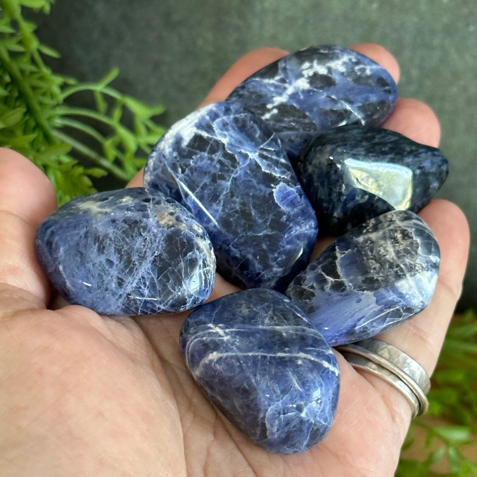 Extra large Sodalite Tumbled Stones