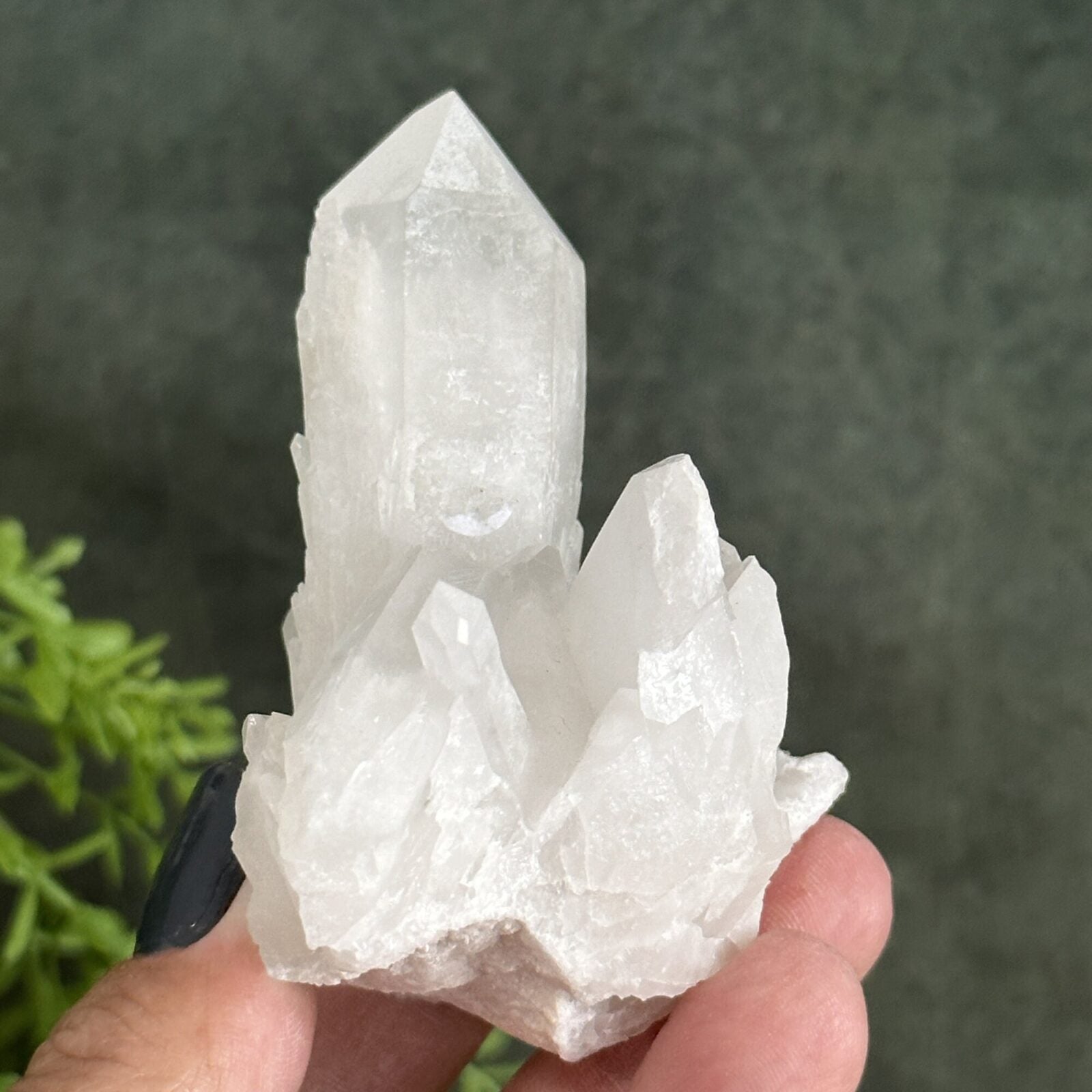 Clear Candle Quartz Cluster from Madagascar.