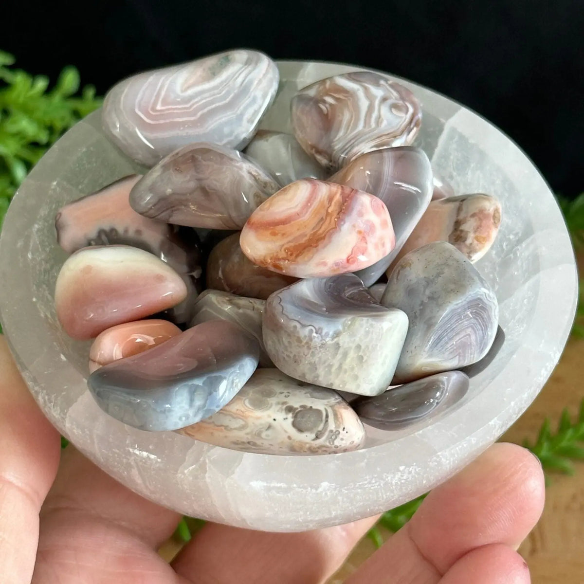 Pink Botswana Agate Tumbled Stones Castle Rocks Cornwall