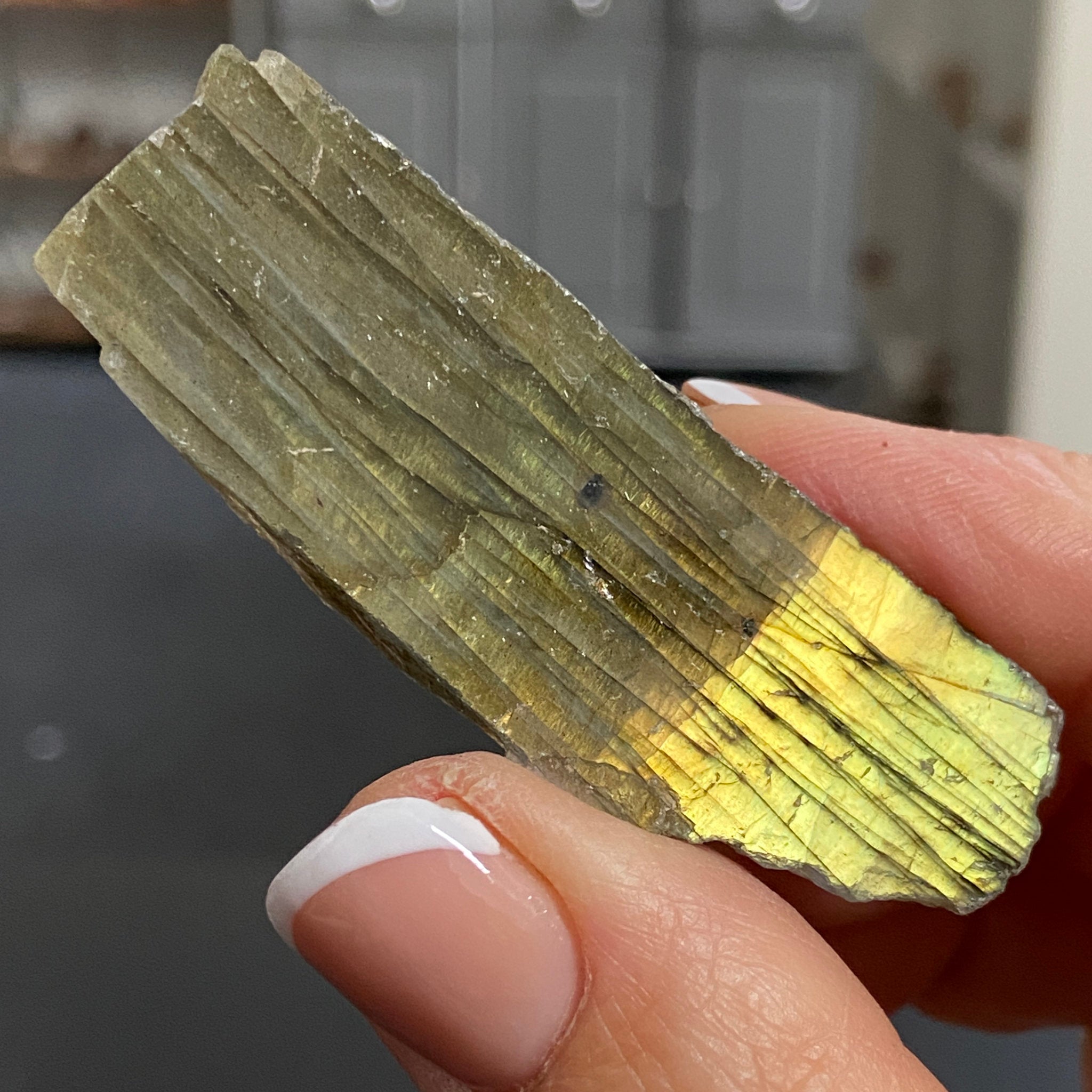 Madagascan Labradorite Slice – New Beginnings & Intuition - Castle Rocks Cornwall