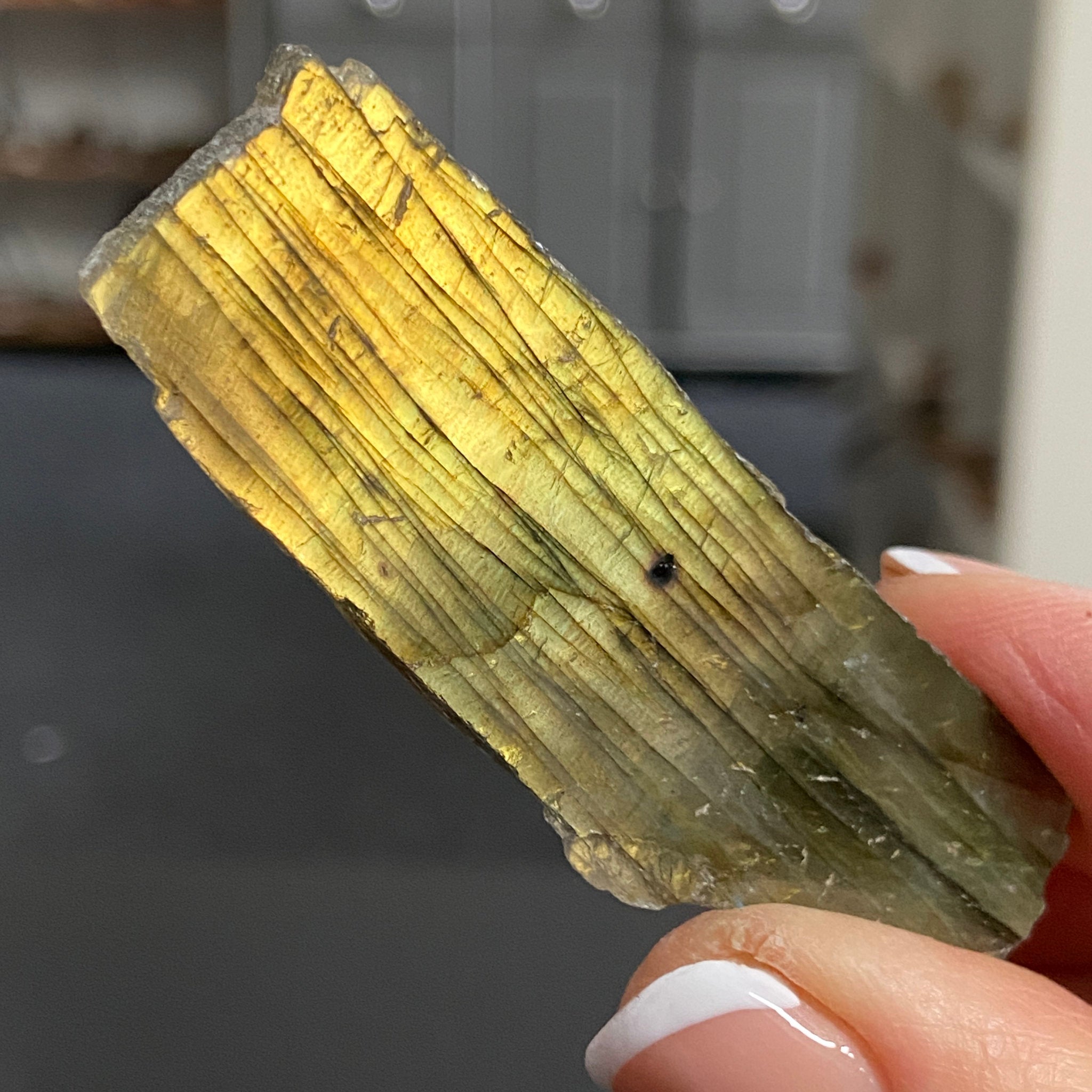 Madagascan Labradorite Slice – New Beginnings & Intuition - Castle Rocks Cornwall