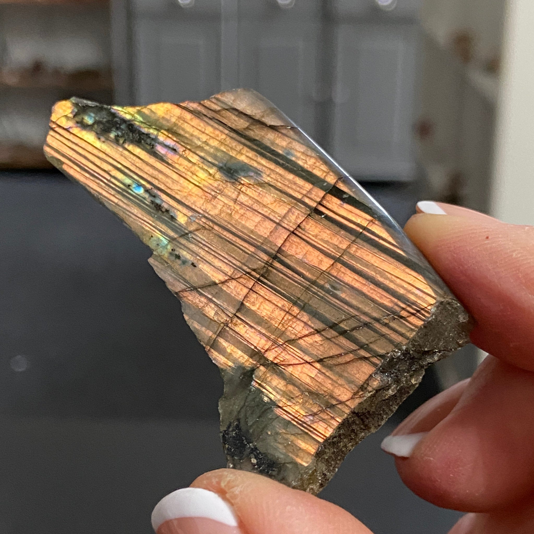 Madagascan Labradorite Slice – New Beginnings & Intuition - Castle Rocks Cornwall
