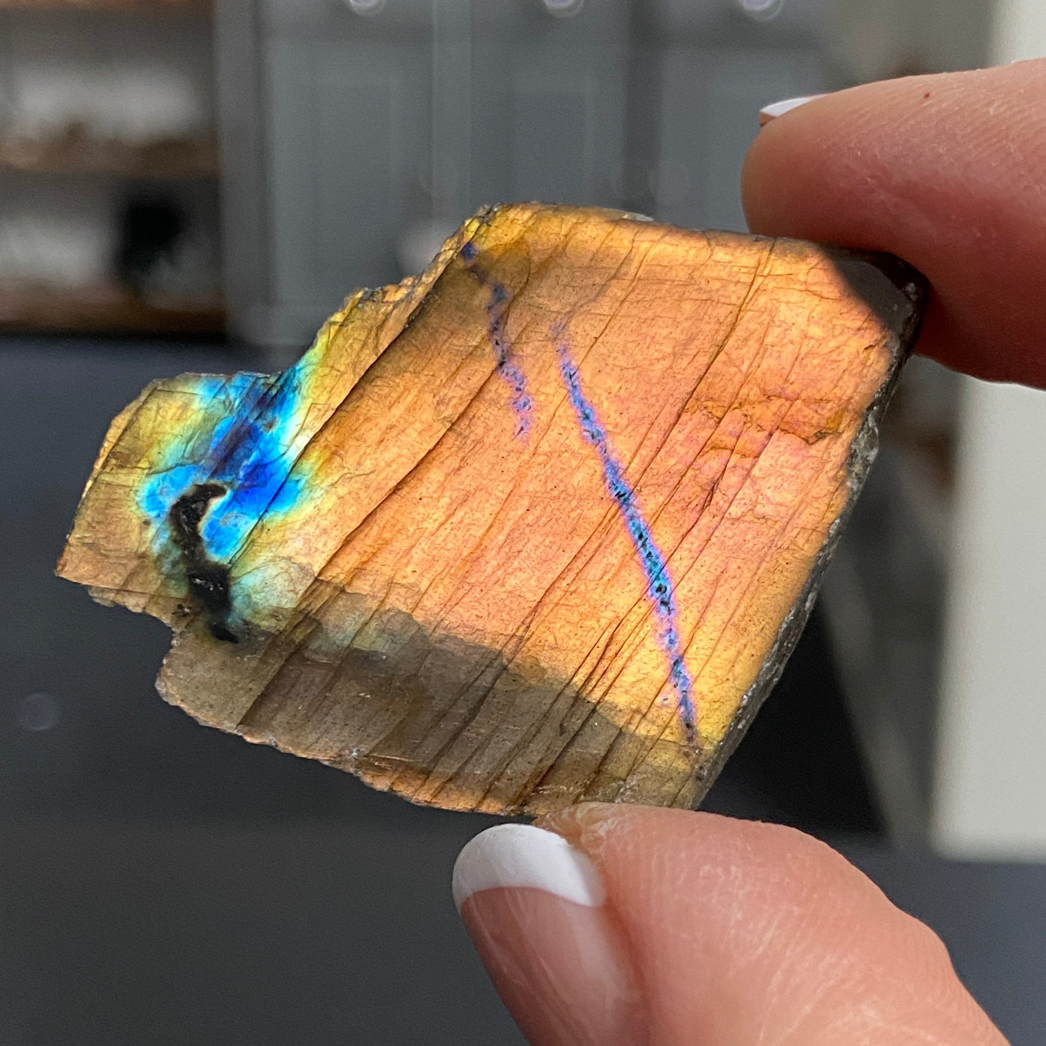 Madagascan Labradorite Slice – New Beginnings & Intuition - Castle Rocks Cornwall