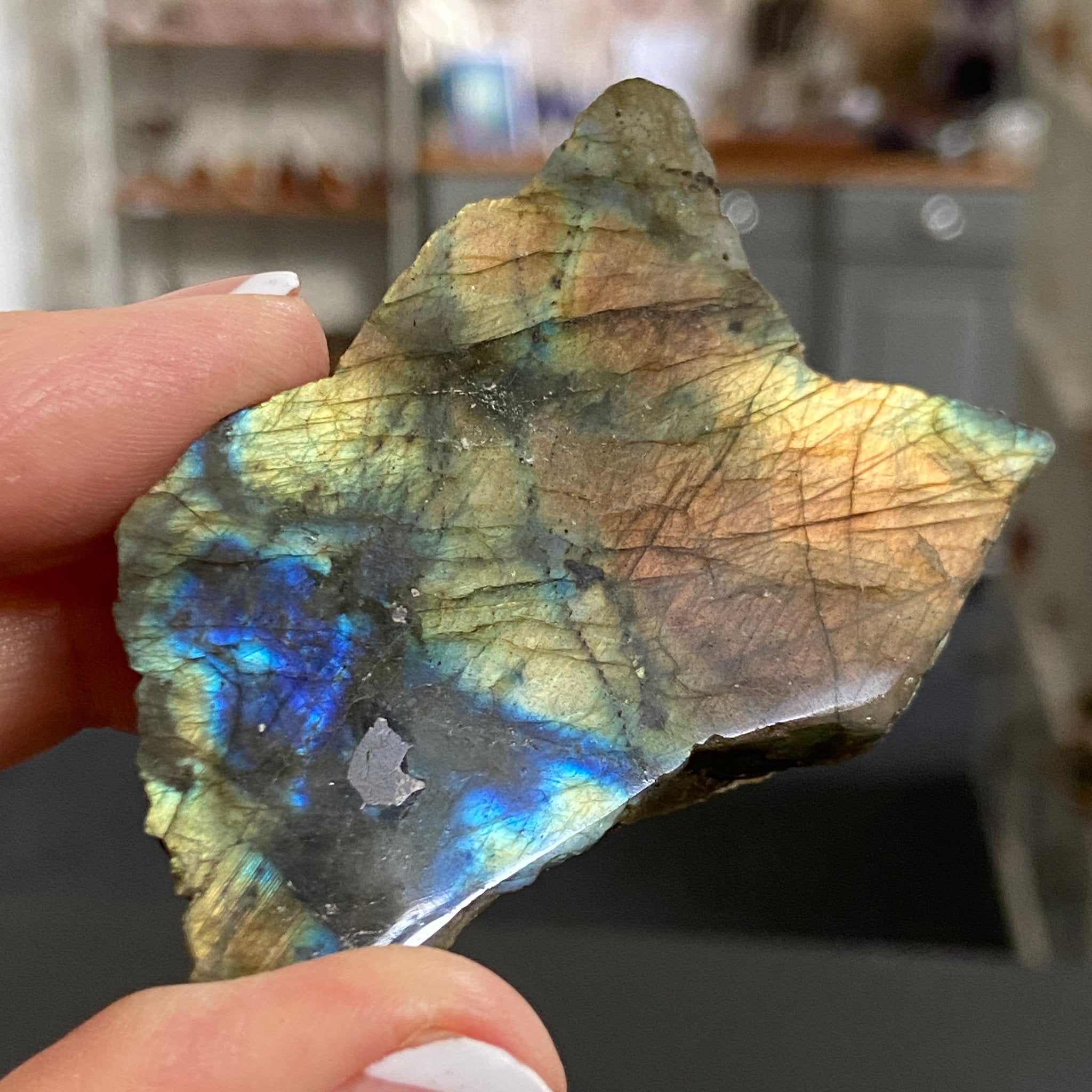 Madagascan Labradorite Slice – New Beginnings & Intuition - Castle Rocks Cornwall