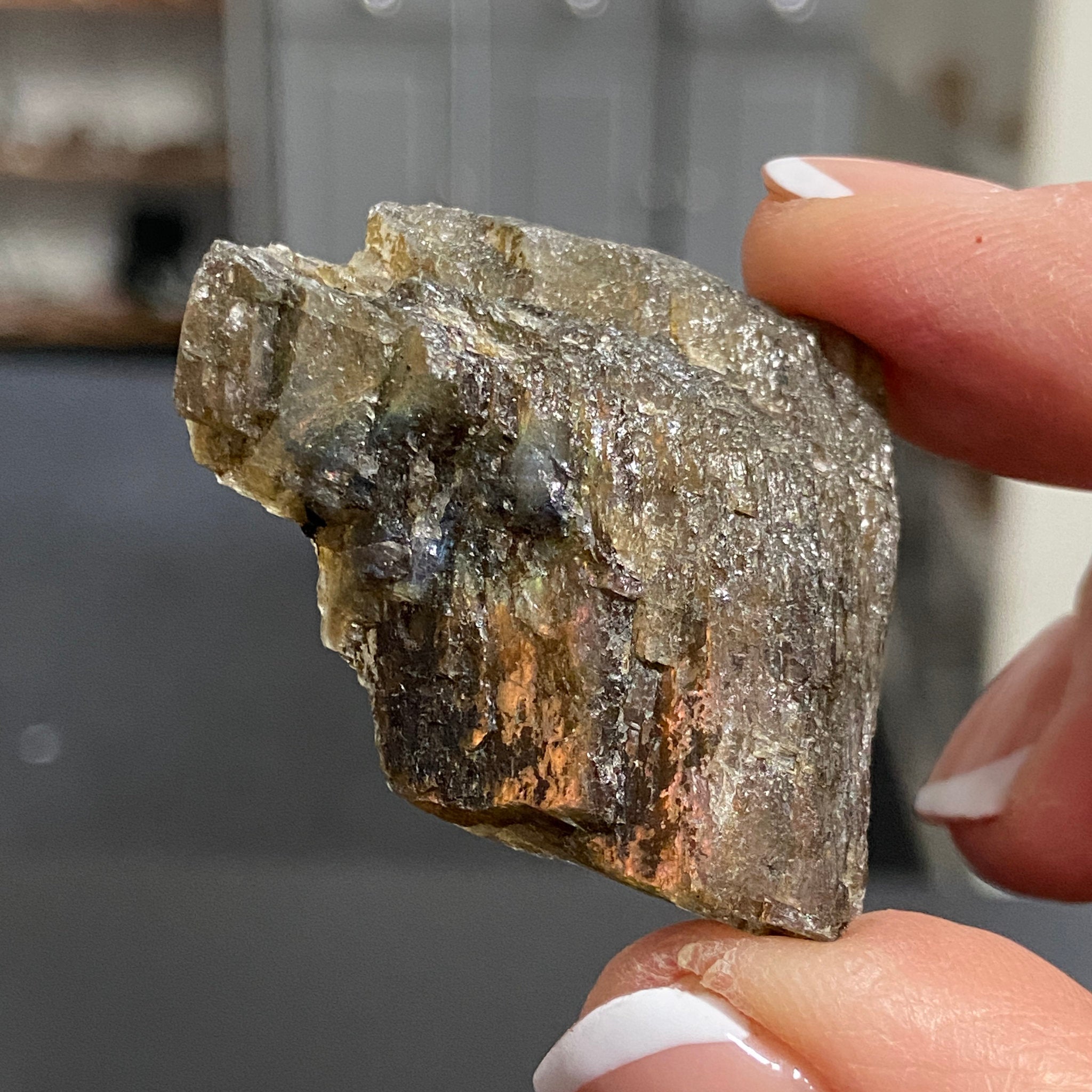 Madagascan Labradorite Slice – New Beginnings & Intuition - Castle Rocks Cornwall