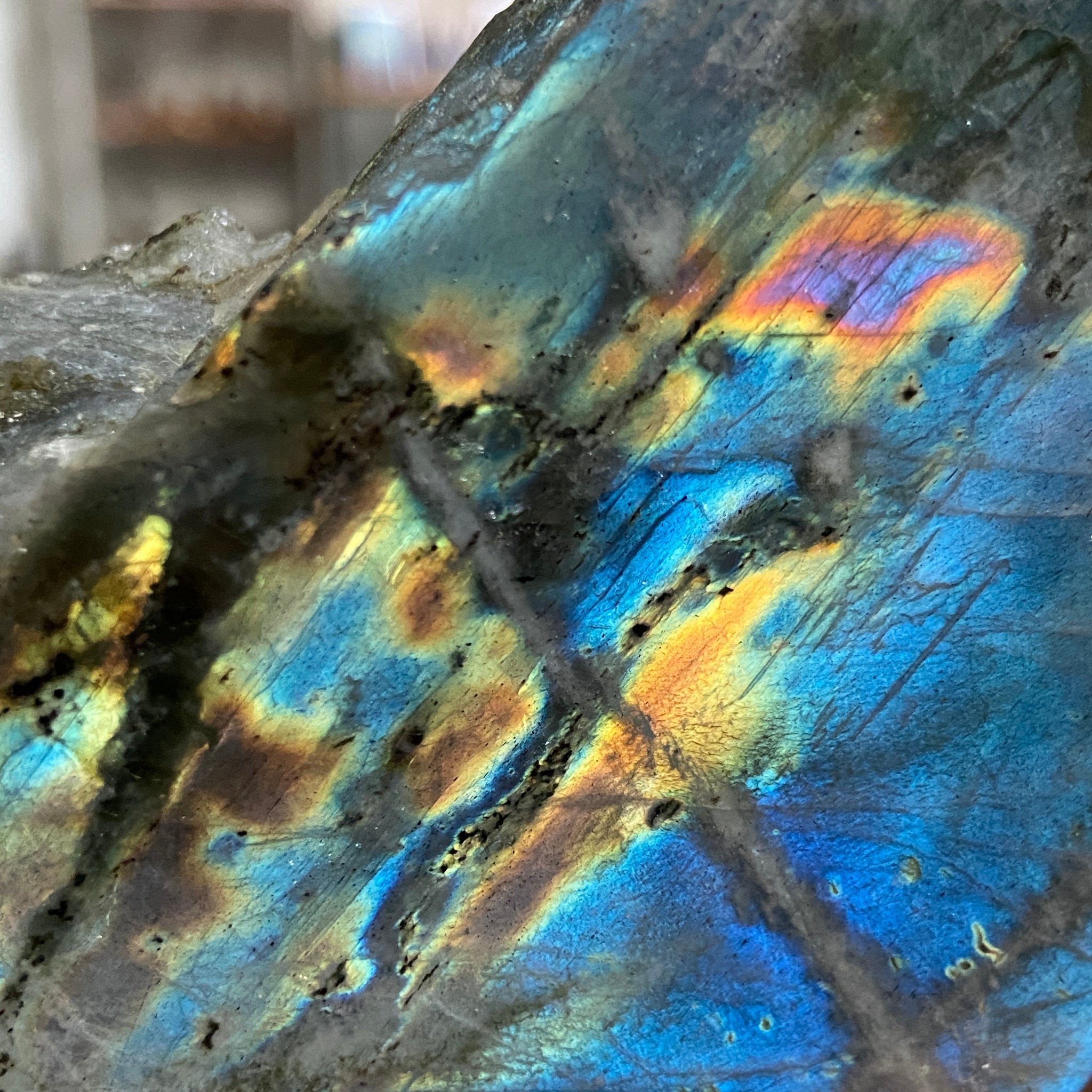Madagascan 'Papillon' Labradorite – New Beginnings & Intuition - Castle Rocks Cornwall