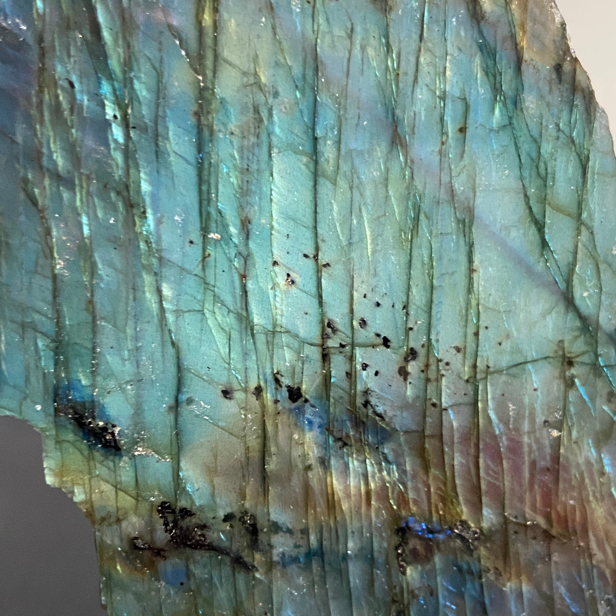 Madagascan 'Papillon' Labradorite – New Beginnings & Intuition - Castle Rocks Cornwall