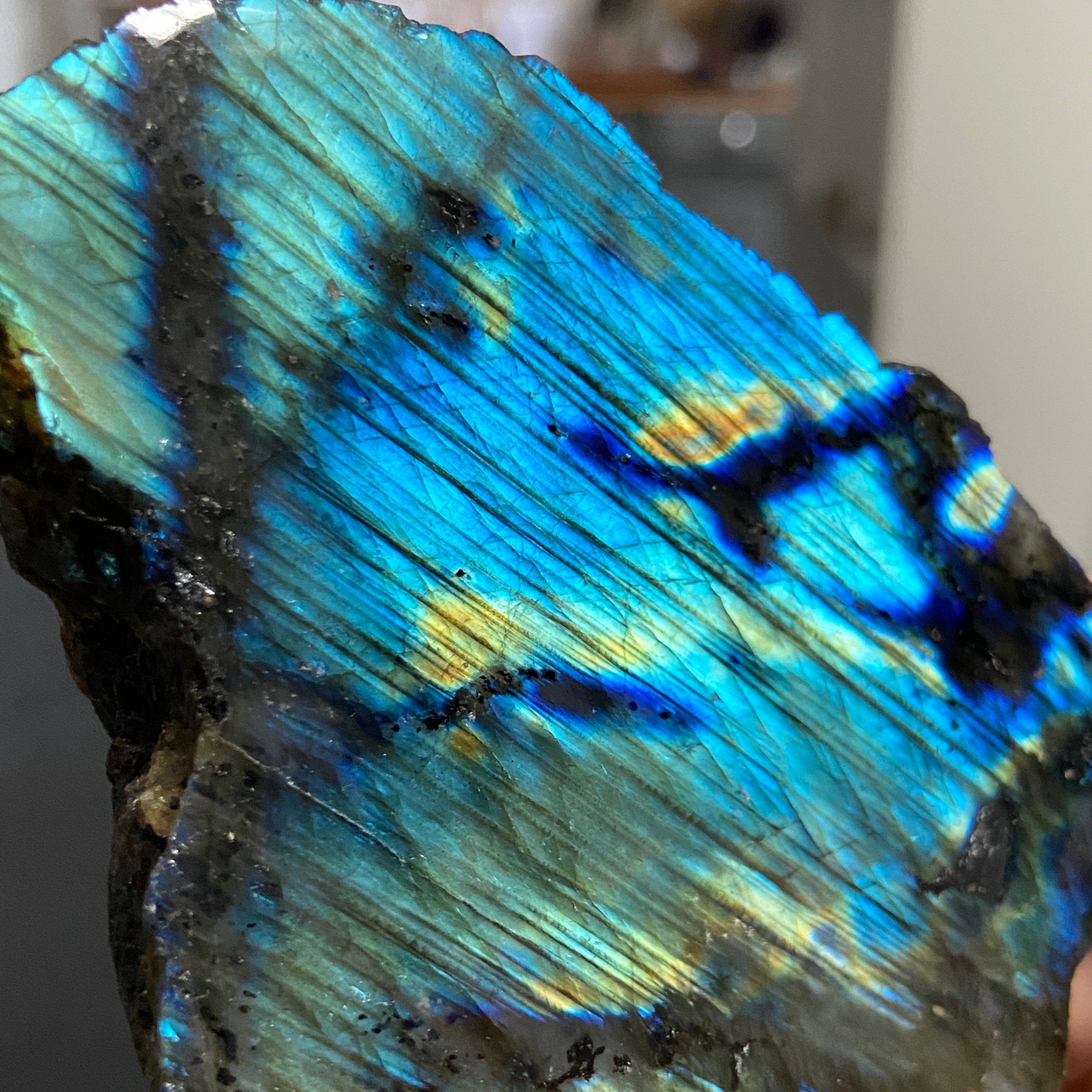 Madagascan 'Papillon' Labradorite – New Beginnings & Intuition - Castle Rocks Cornwall