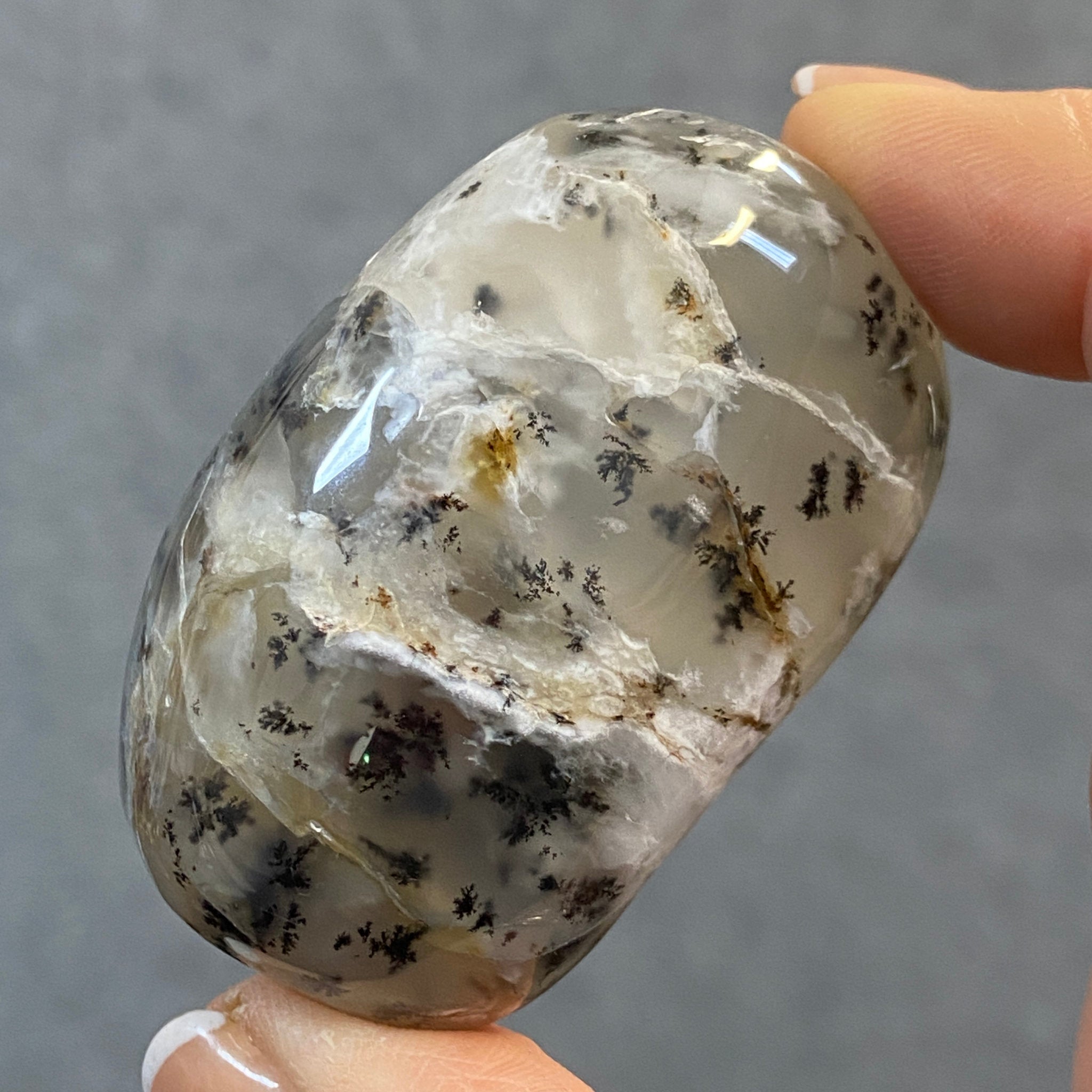 Merlinite Palmstone - Dendritic Agate - Madagascar - Castle Rocks Cornwall