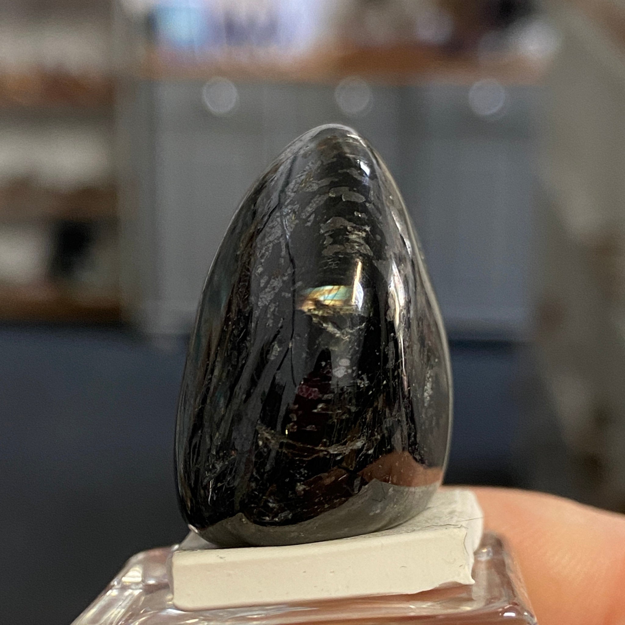 The Best Nuummite from Greenland - Tumbled Stone - AAA - Castle Rocks Cornwall
